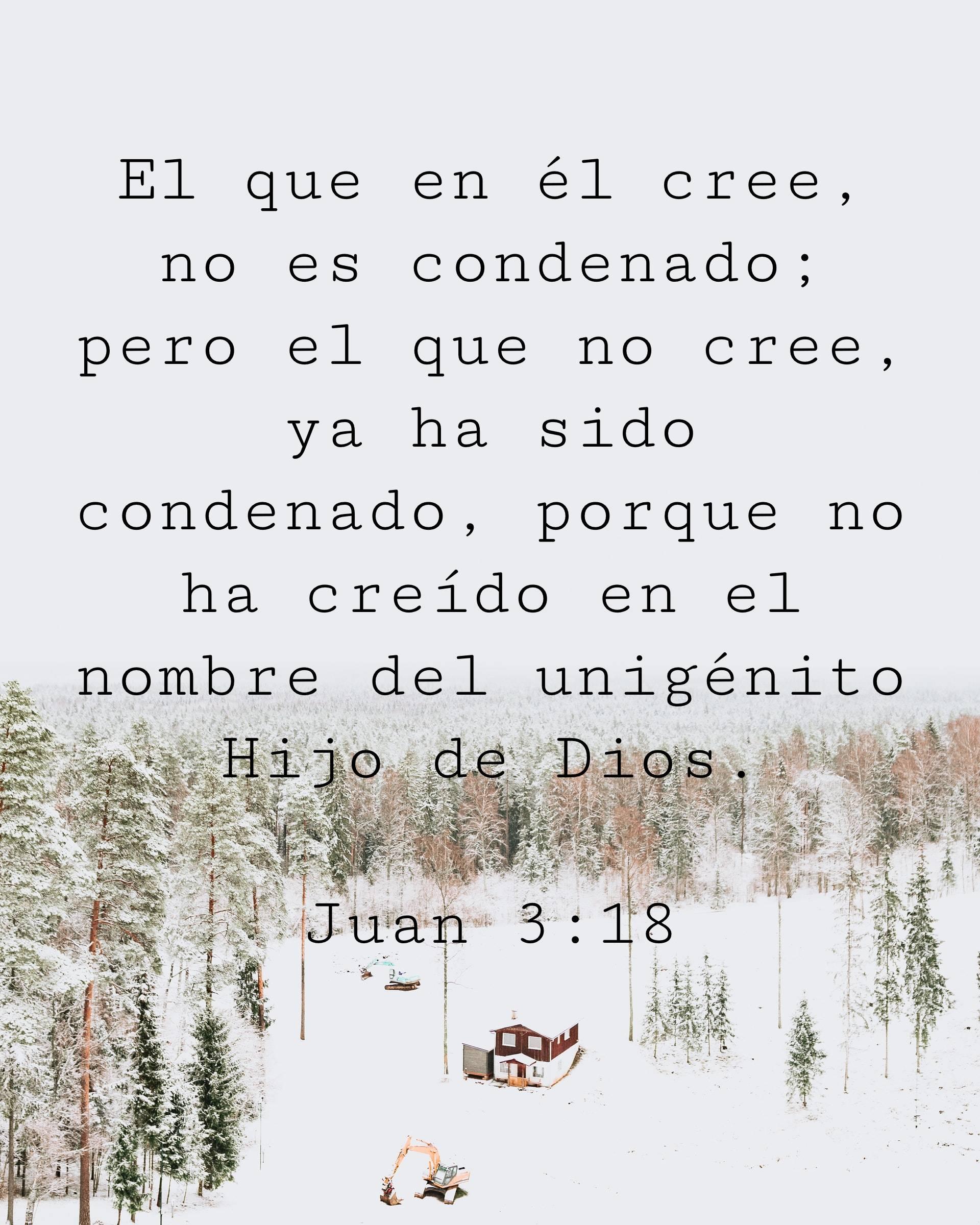 El que en él cree, no es condenado; pero el que no cree, ya ha sido condenado, porque no ha creído en el nombre del unigénito Hijo de Dios.