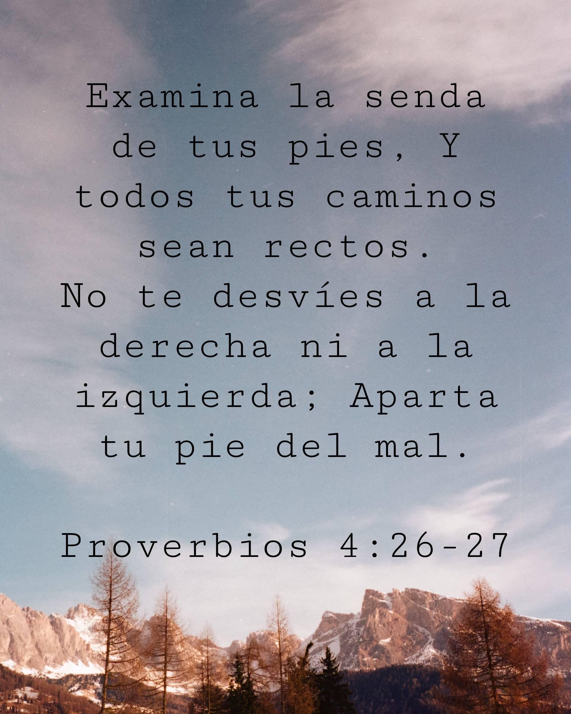 Examina la senda de tus pies, Y todos tus caminos sean rectos.
No te desvíes a la derecha ni a la izquierda; Aparta tu pie del mal.