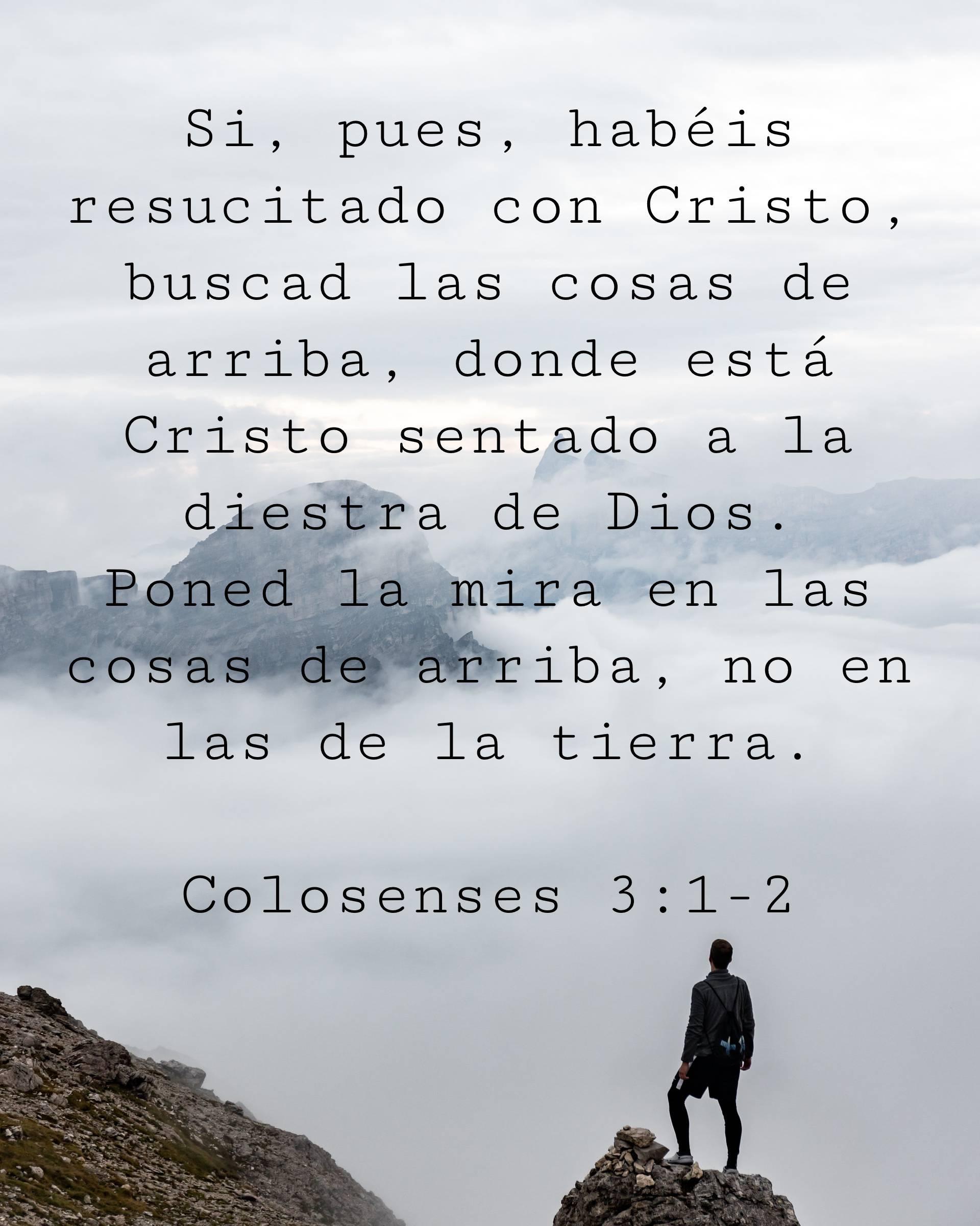 Si, pues, habéis resucitado con Cristo, buscad las cosas de arriba, donde está Cristo sentado a la diestra de Dios.
Poned la mira en las cosas de arriba, no en las de la tierra.