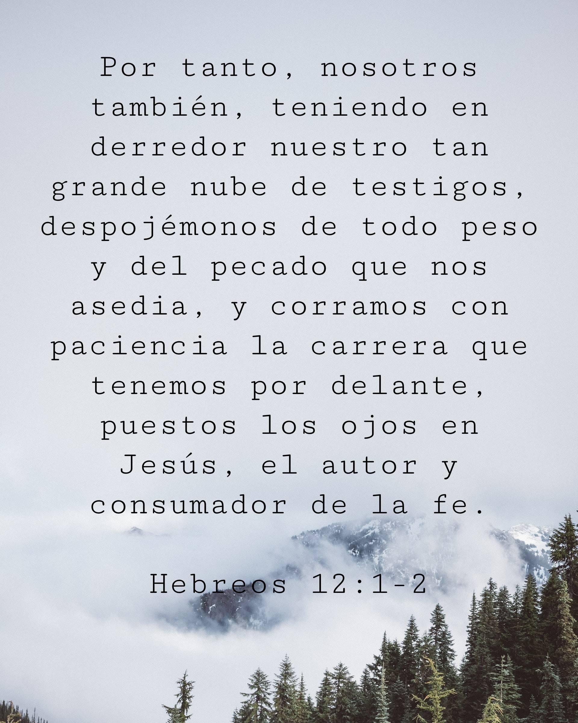 Por tanto, nosotros también, teniendo en derredor nuestro tan grande nube de testigos, despojémonos de todo peso y del pecado que nos asedia, y corramos con paciencia la carrera que tenemos por delante,
puestos los ojos en Jesús, el autor y consumador de la fe.