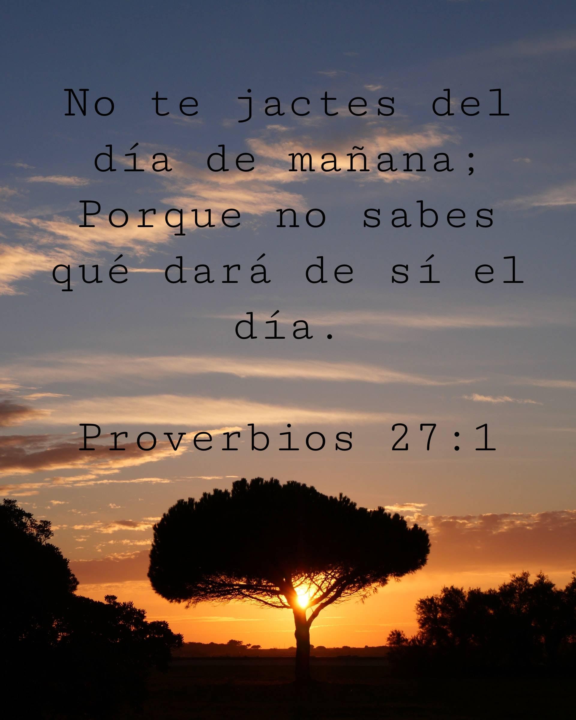 No te jactes del día de mañana; Porque no sabes qué dará de sí el día.