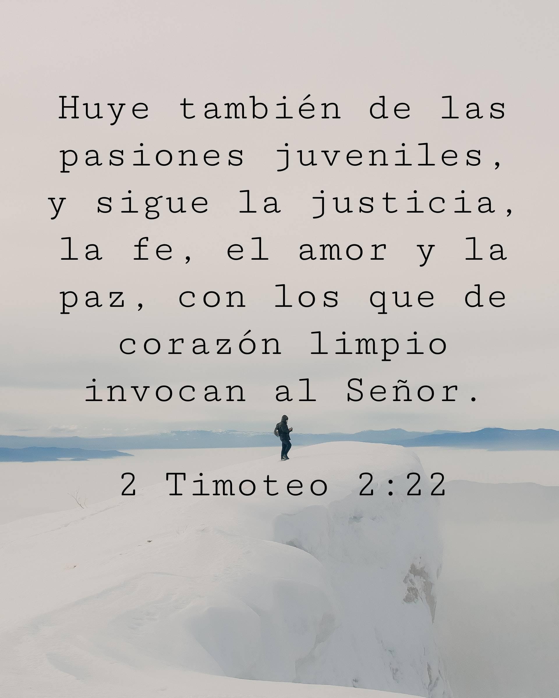 Huye también de las pasiones juveniles, y sigue la justicia, la fe, el amor y la paz, con los que de corazón limpio invocan al Señor.