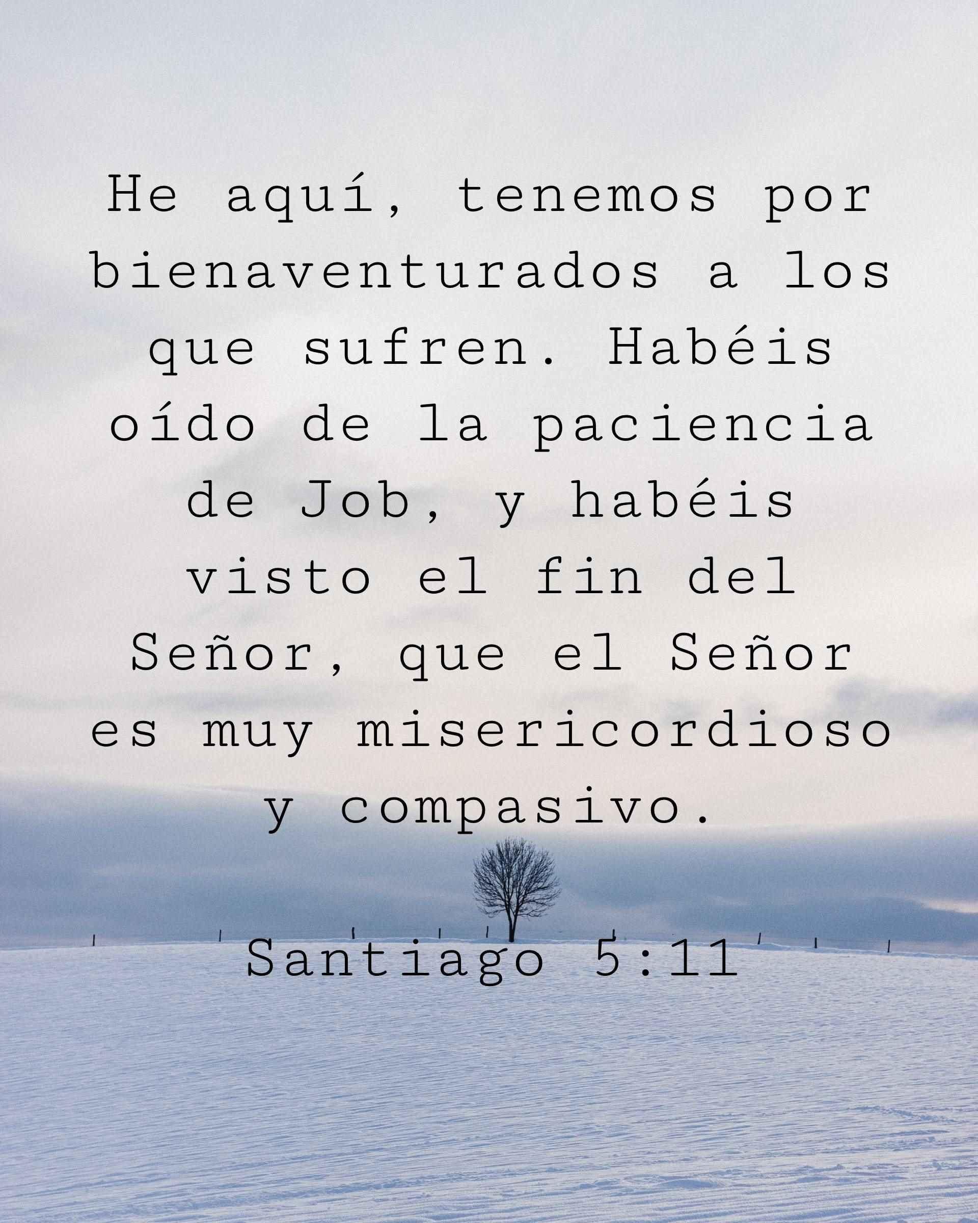 He aquí, tenemos por bienaventurados a los que sufren. Habéis oído de la paciencia de Job, y habéis visto el fin del Señor, que el Señor es muy misericordioso y compasivo.