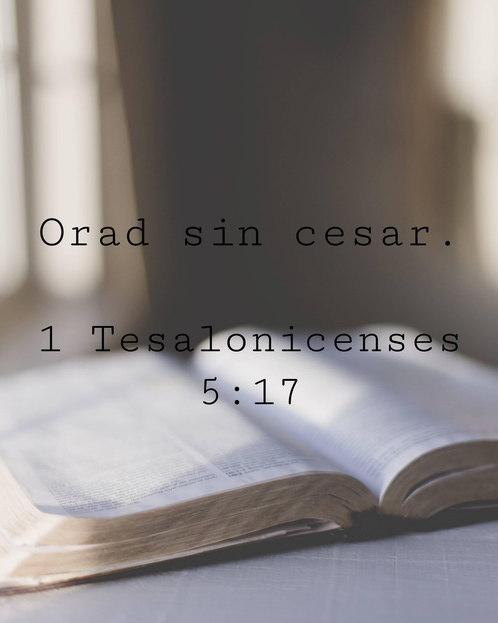 Orad sin cesar.