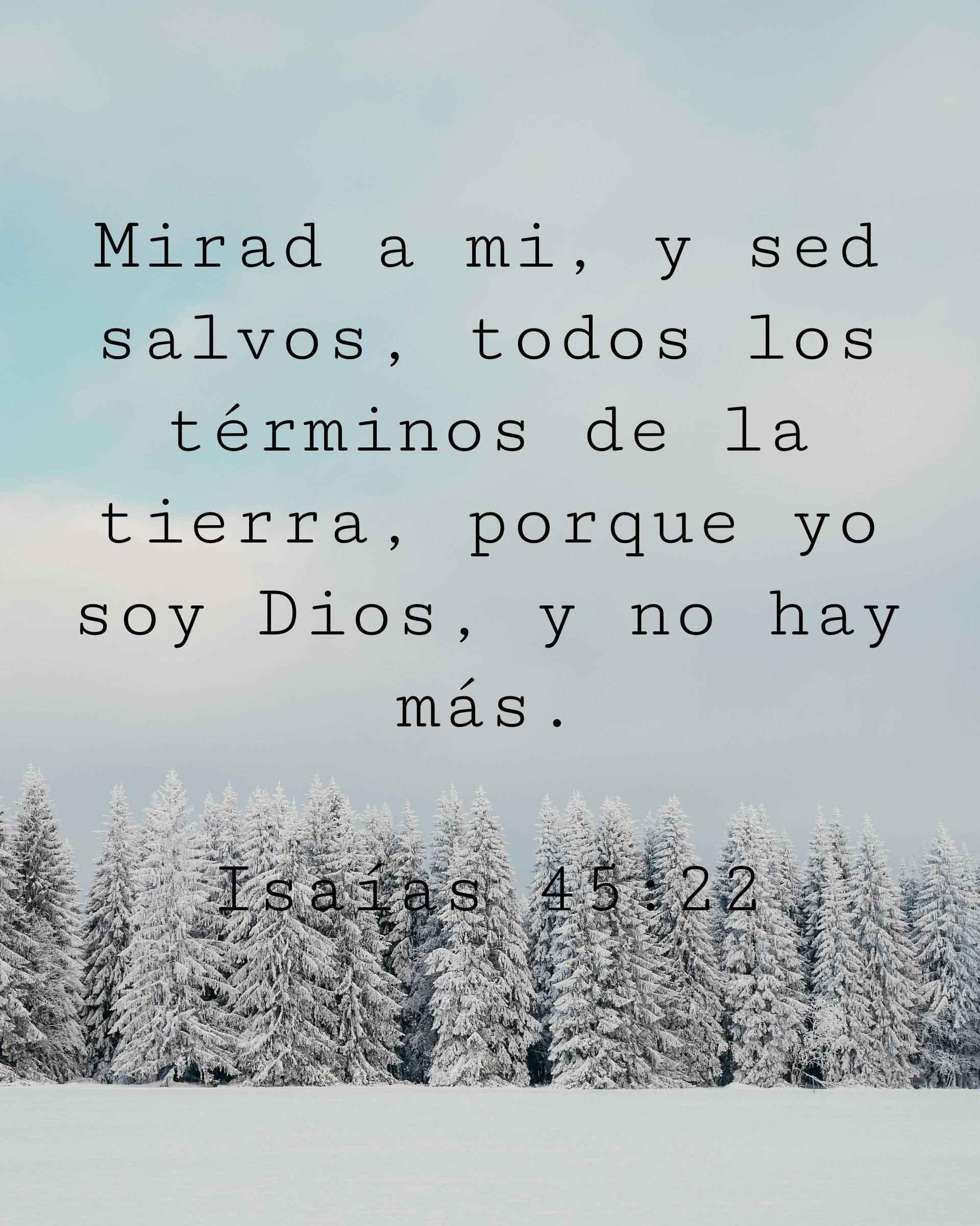 Mirad a mí, y sed salvos, todos los términos de la tierra, porque yo soy Dios, y no hay más.
