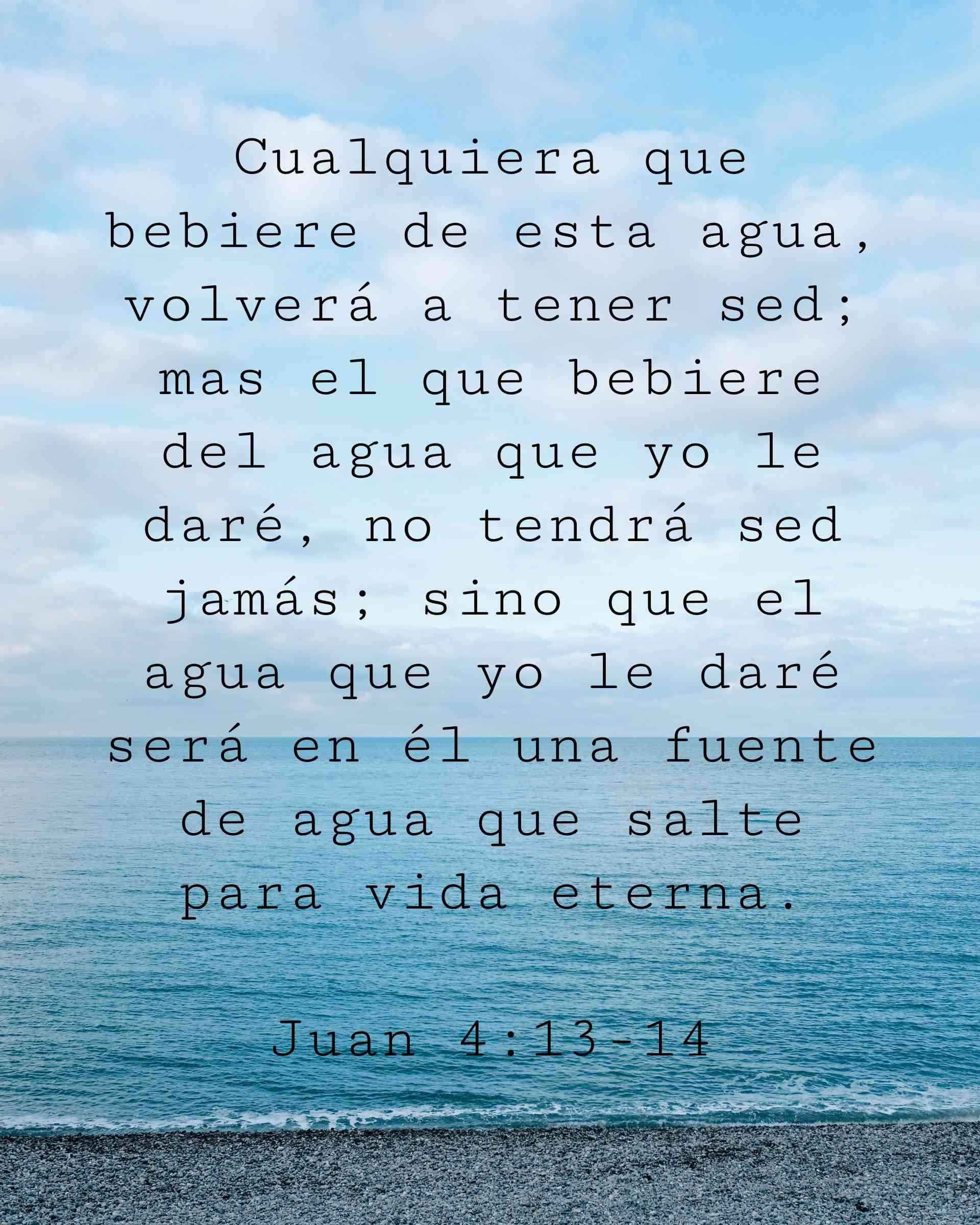 Cualquiera que bebiere de esta agua, volverá a tener sed; mas el que bebiere del agua que yo le daré, no tendrá sed jamás; sino que el agua que yo le daré será en él una fuente de agua que salte para vida eterna.