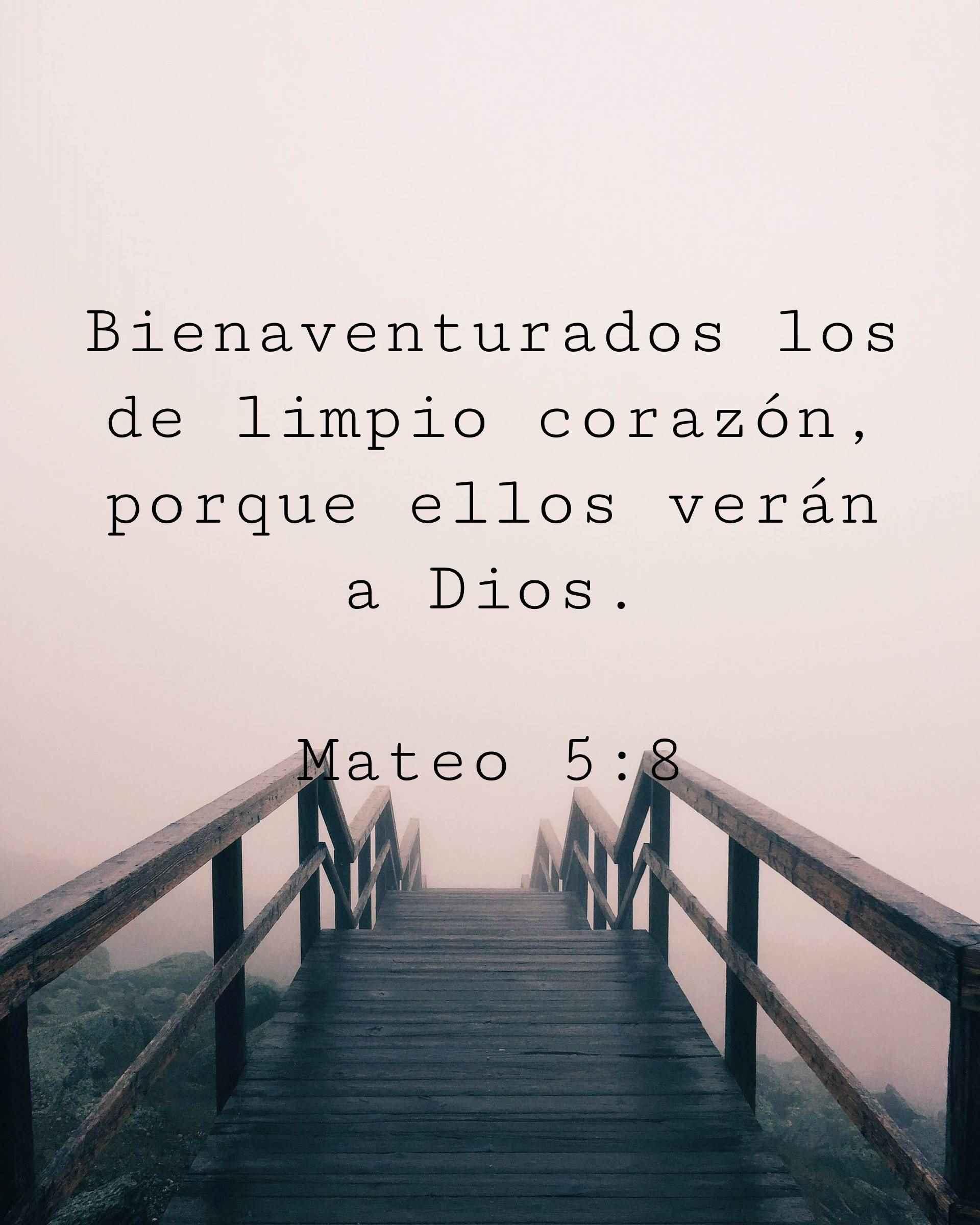 Bienaventurados los de limpio corazón, porque ellos verán a Dios.
