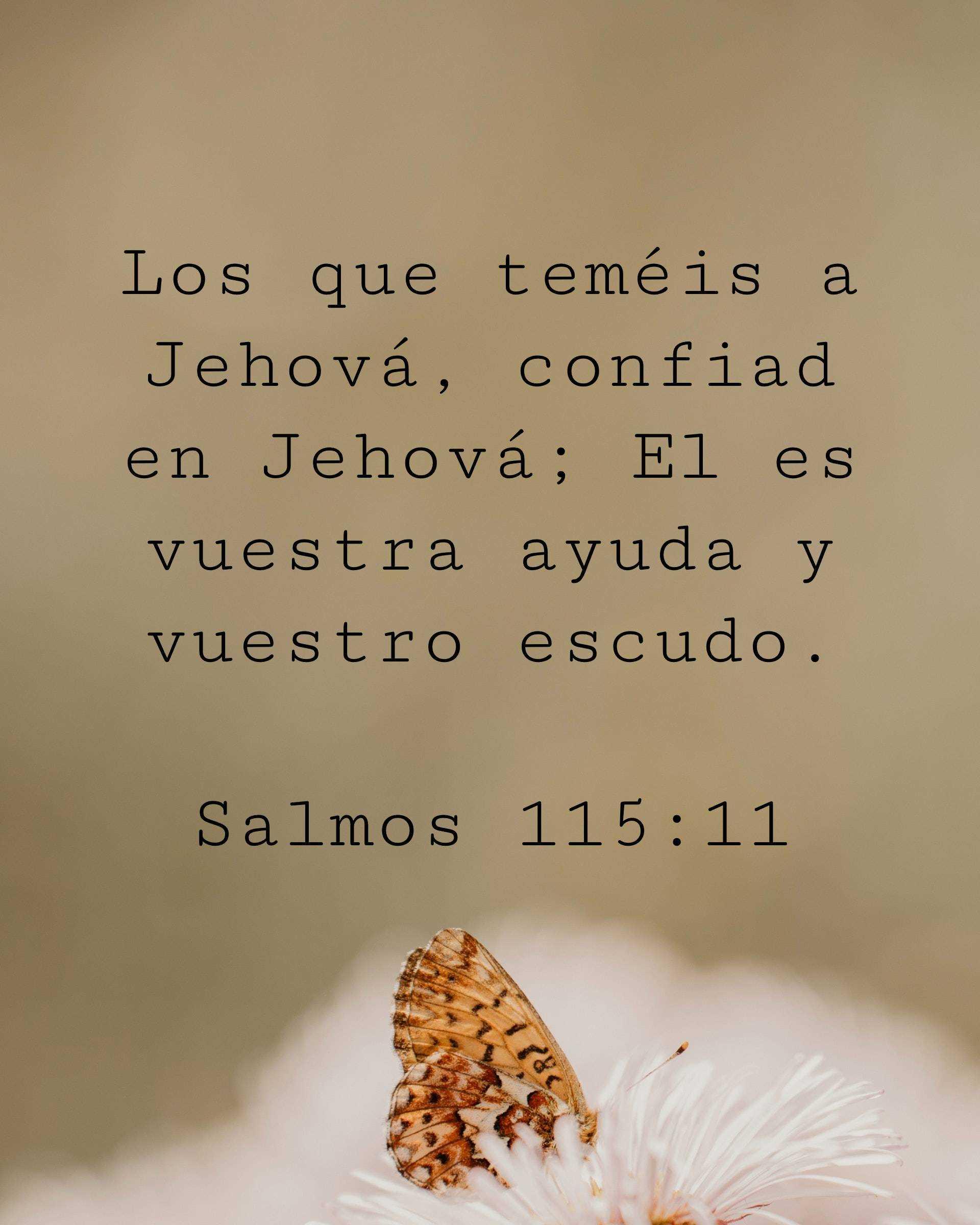 Los que teméis a Jehová, confiad en Jehová; El es vuestra ayuda y vuestro escudo.