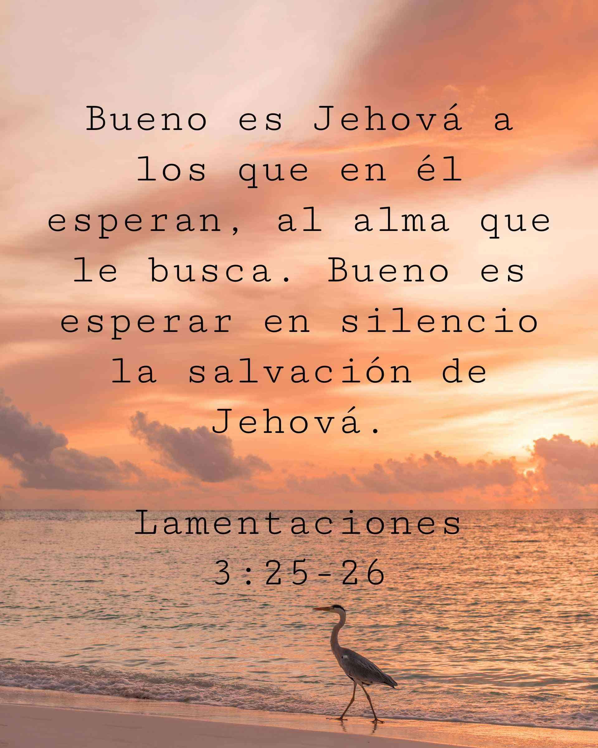 Bueno es Jehová a los que en él esperan, al alma que le busca. Bueno es esperar en silencio la salvación de Jehová.