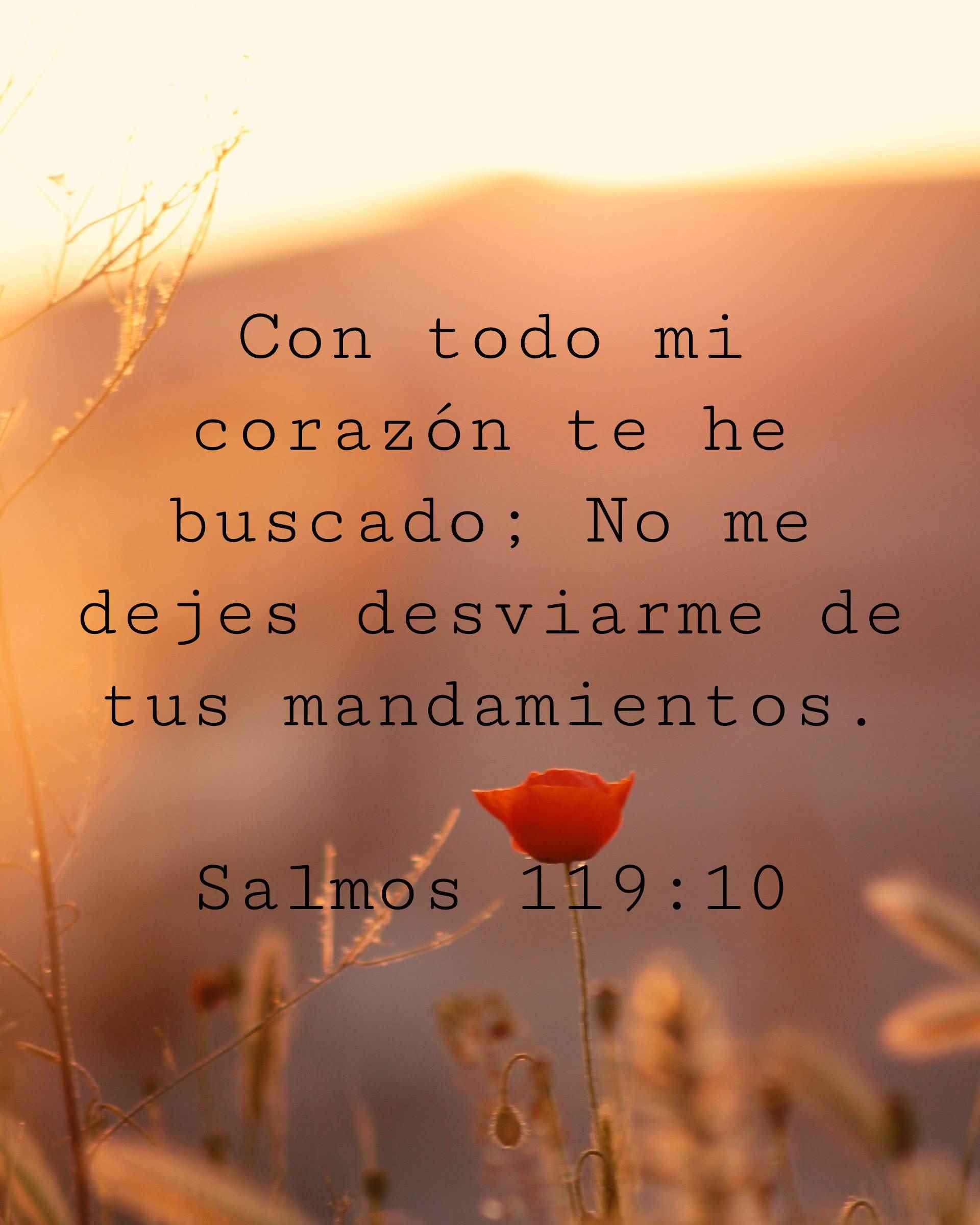Con todo mi corazón te he buscado; No me dejes desviarme de tus mandamientos.