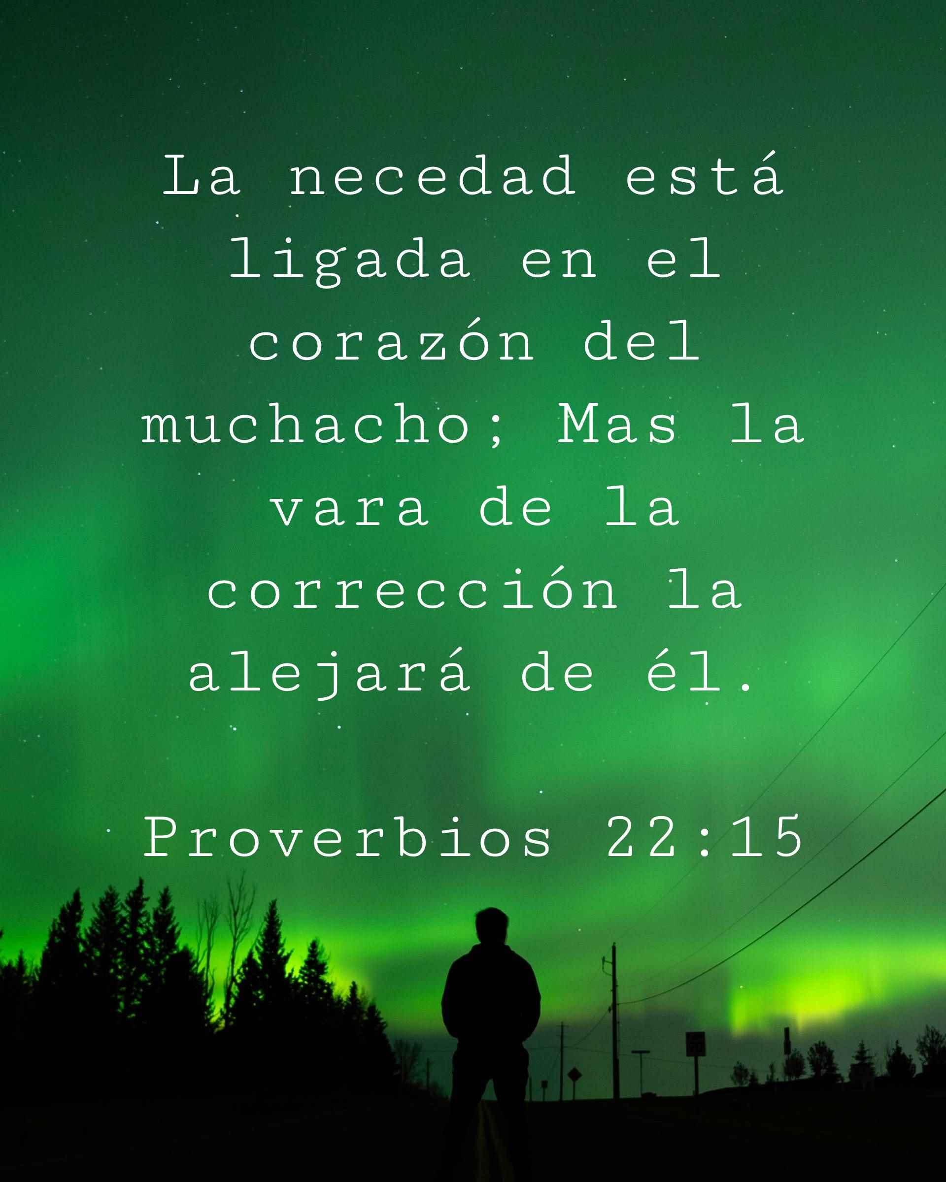 La necedad está ligada en el corazón del muchacho; Mas la vara de la corrección la alejará de él.