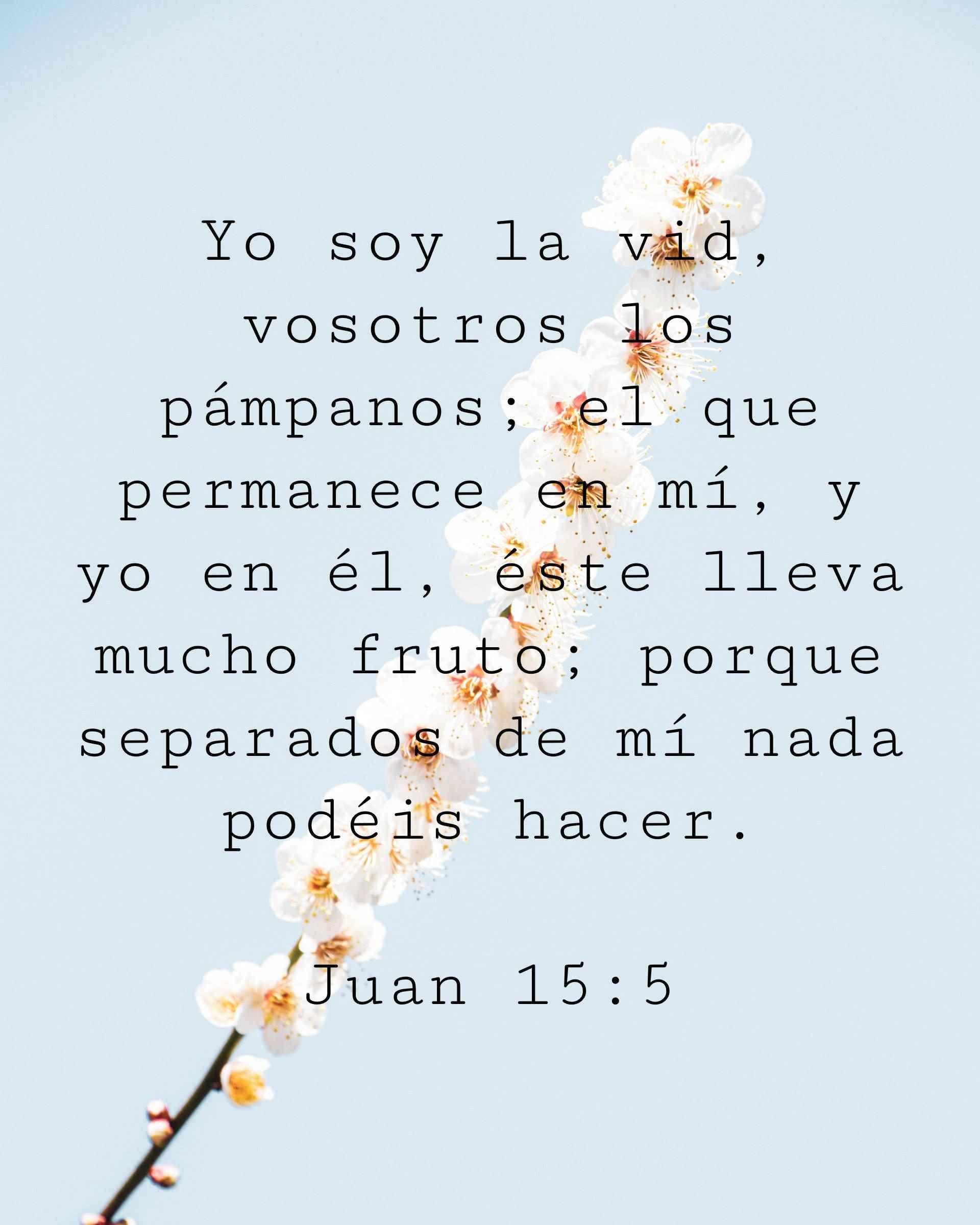 Yo soy la vid, vosotros los pámpanos; el que permanece en mí, y yo en él, éste lleva mucho fruto; porque separados de mí nada podéis hacer.