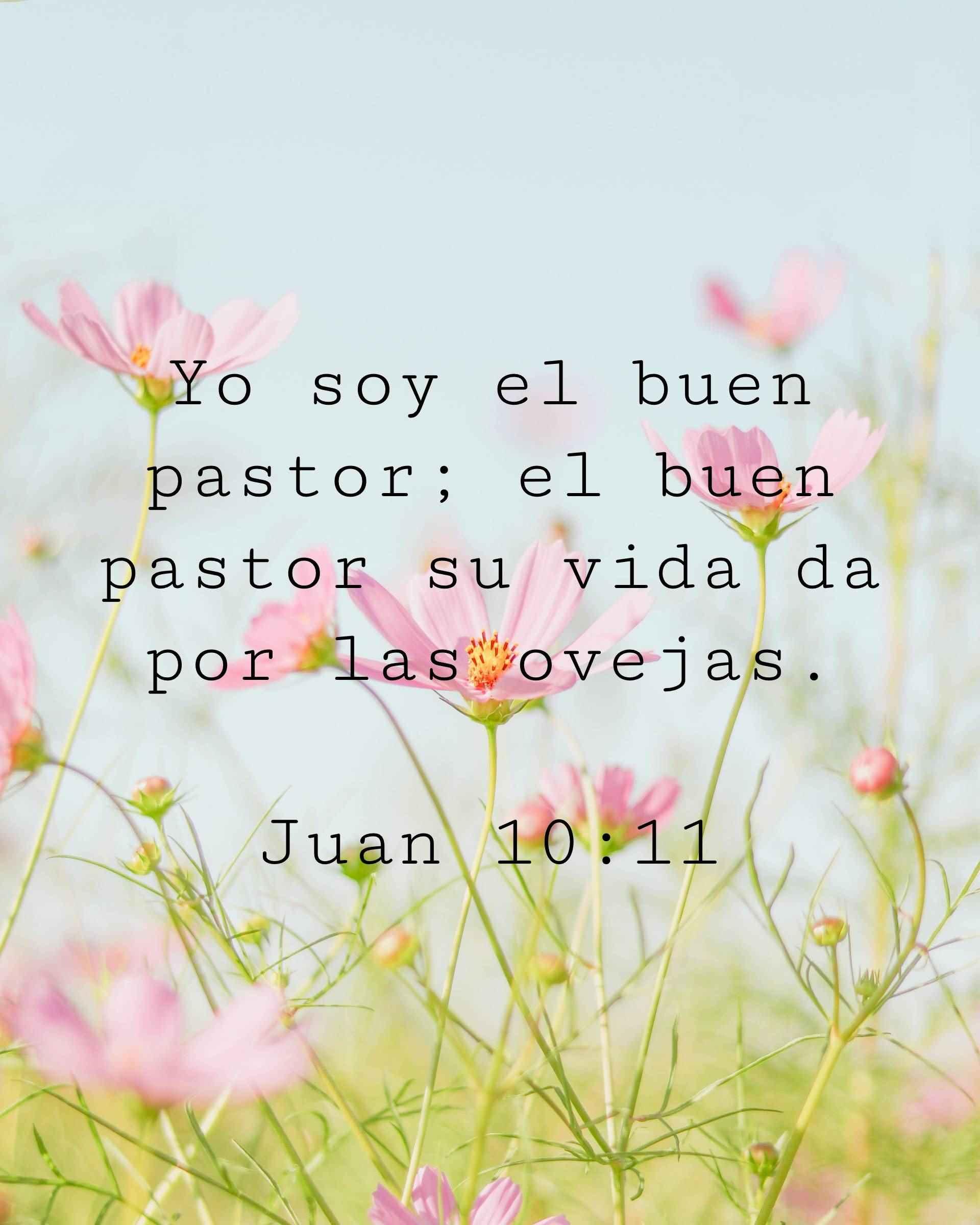 Yo soy el buen pastor; el buen pastor su vida da por las ovejas.