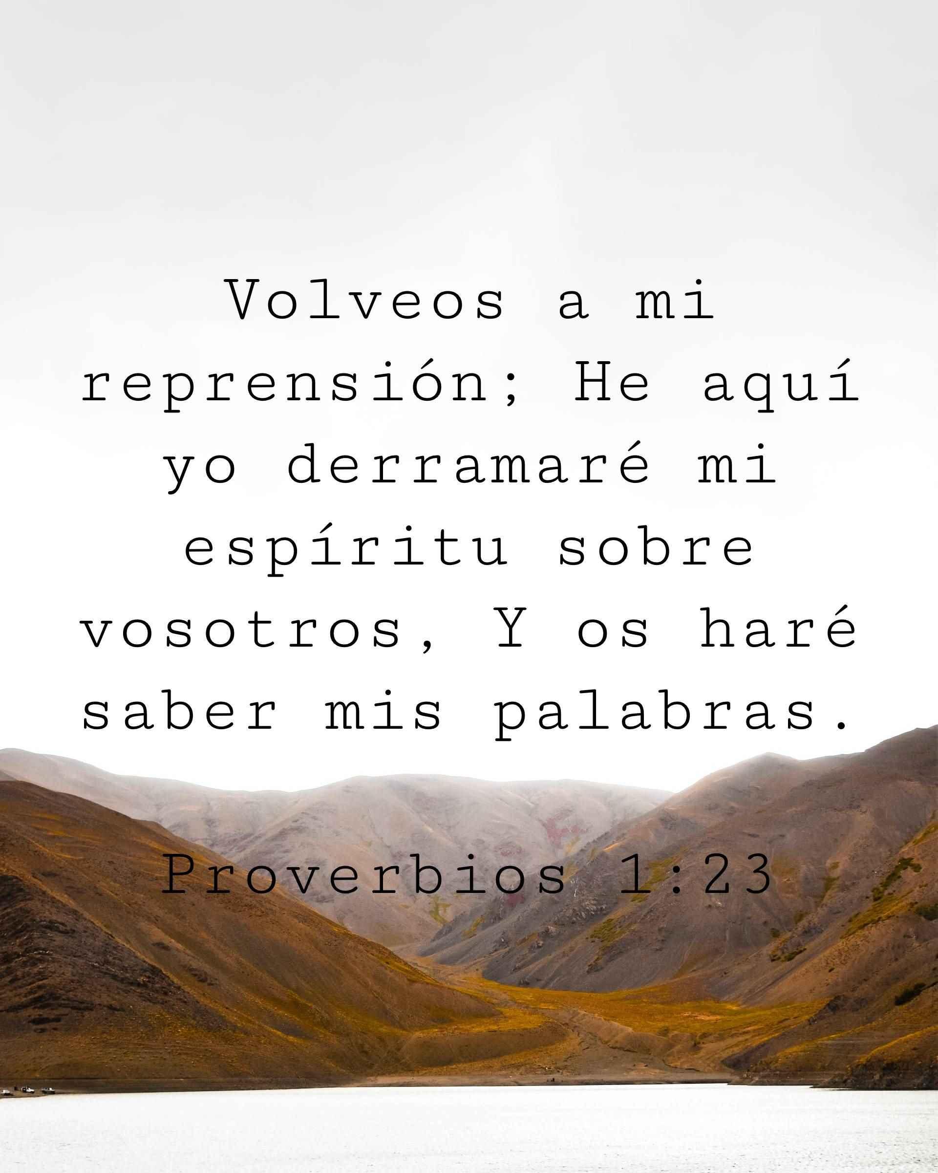 Volveos a mi reprensión; He aquí yo derramaré mi espíritu sobre vosotros, Y os haré saber mis palabras.