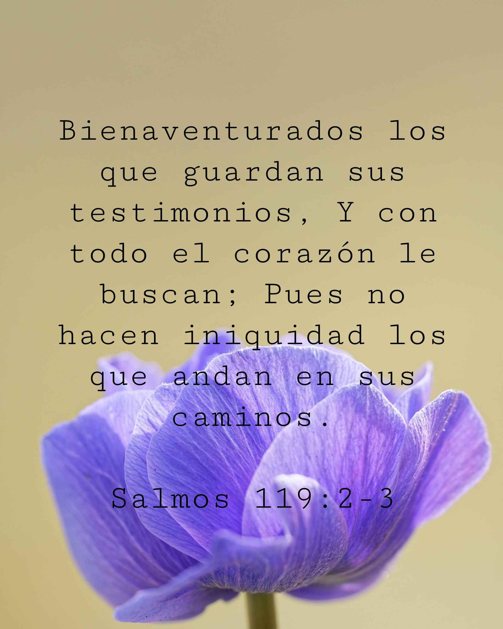 Bienaventurados los que guardan sus testimonios, Y con todo el corazón le buscan; Pues no hacen iniquidad los que andan en sus caminos.