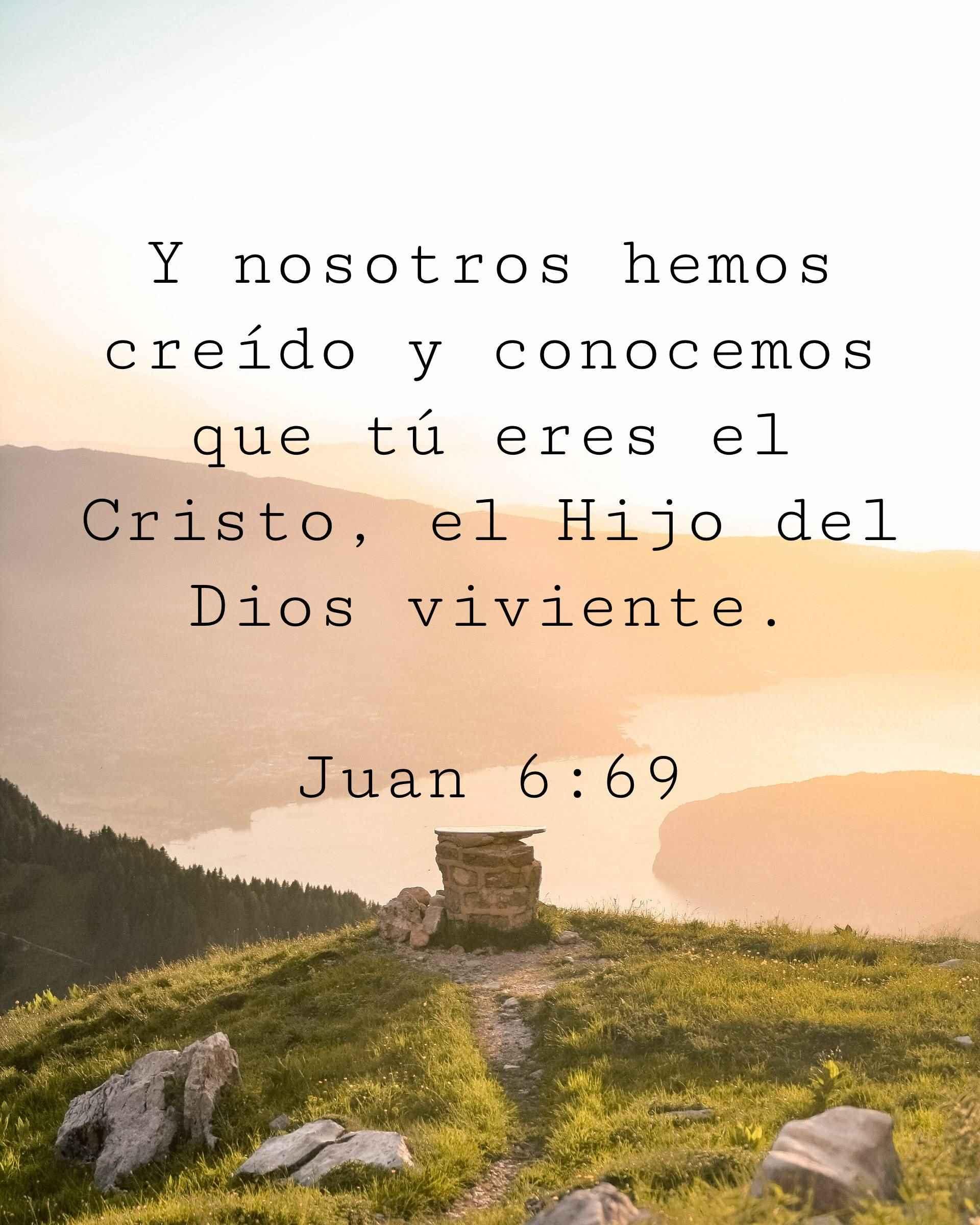 Y nosotros hemos creído y conocemos que tú eres el Cristo, el Hijo del Dios viviente.