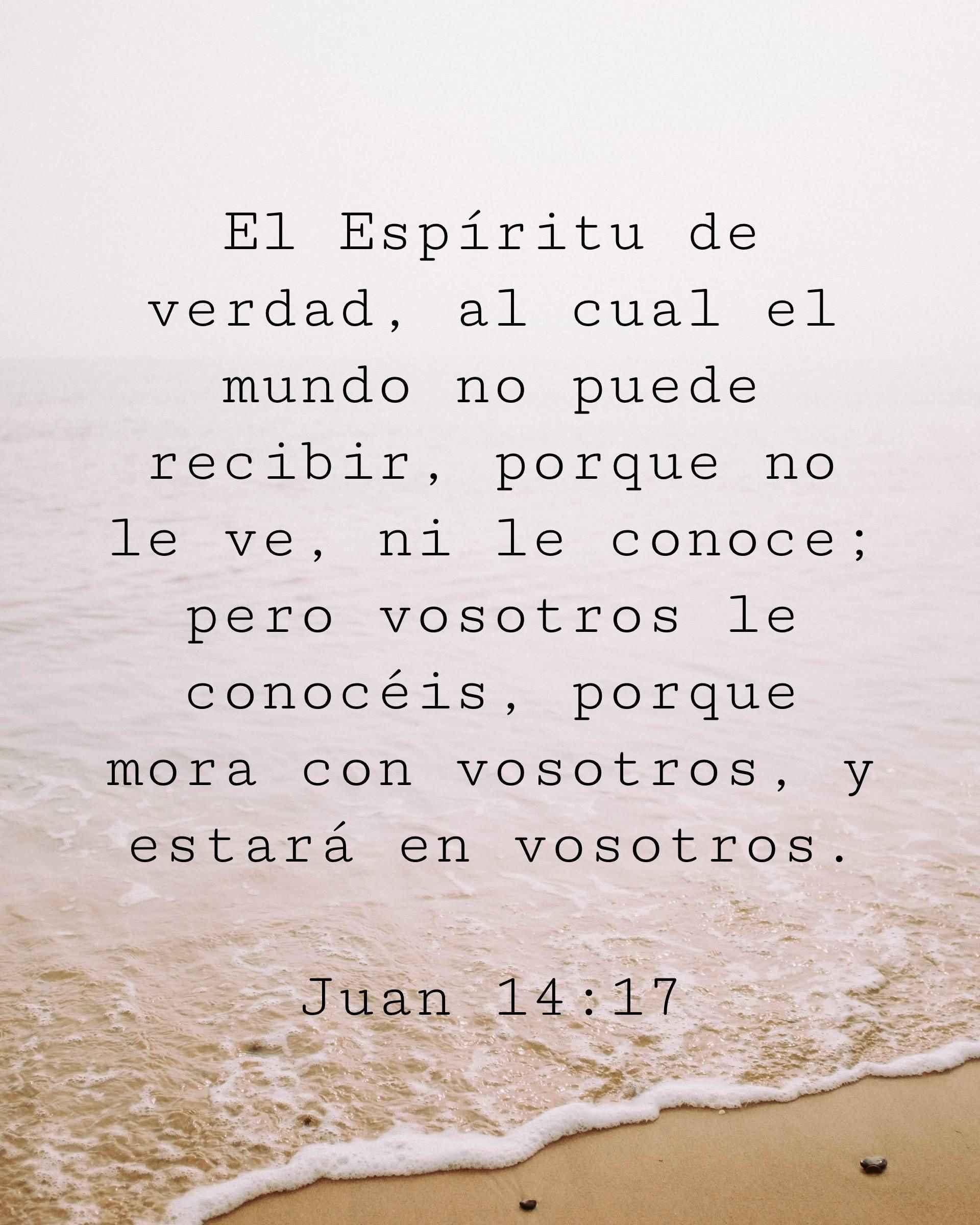 El Espíritu de verdad, al cual el mundo no puede recibir, porque no le ve, ni le conoce; pero vosotros le conocéis, porque mora con vosotros, y estará en vosotros.