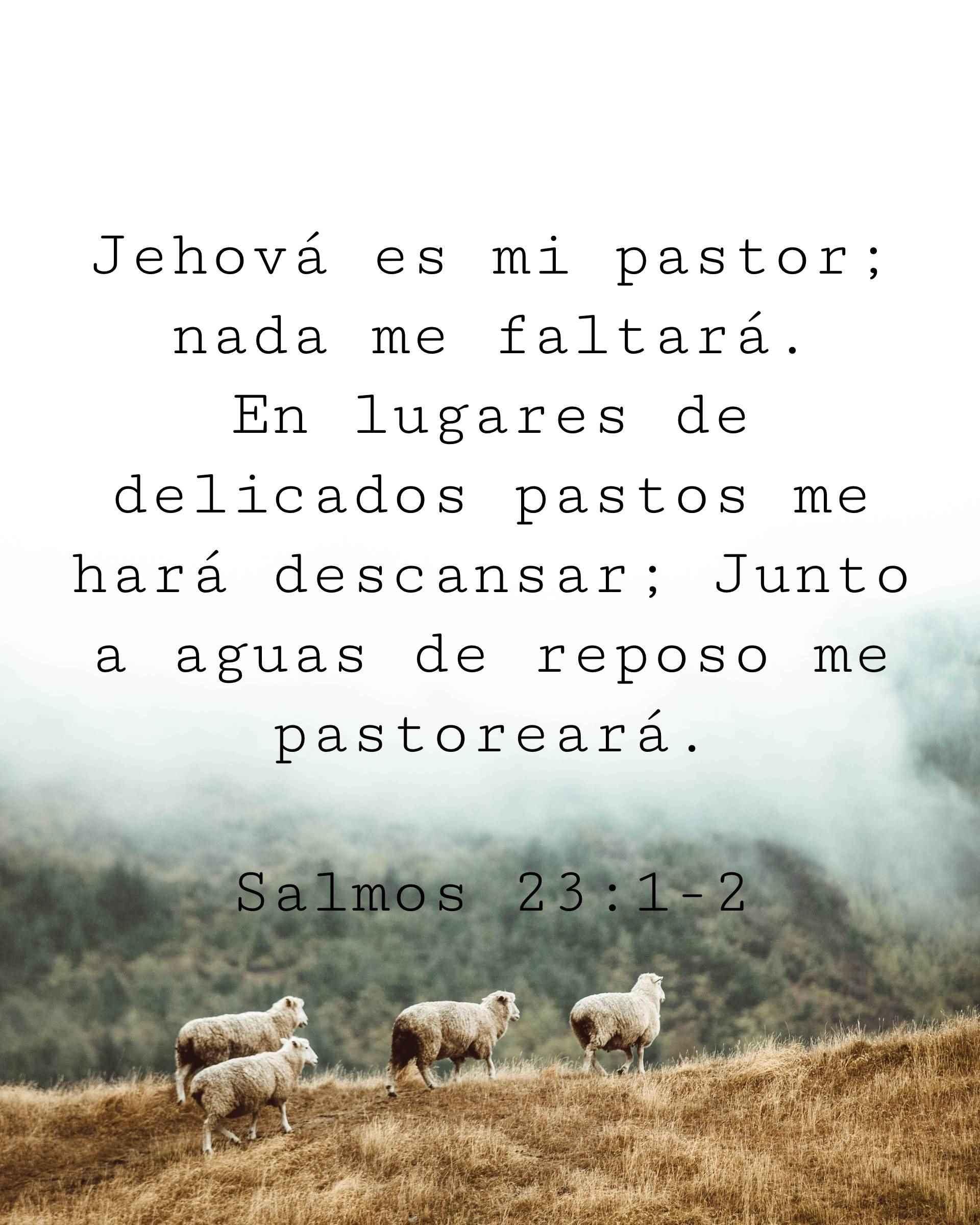 Jehová es mi pastor; nada me faltará. En lugares de delicados pastos me hará descansar; Junto a aguas de reposo me pastoreará.