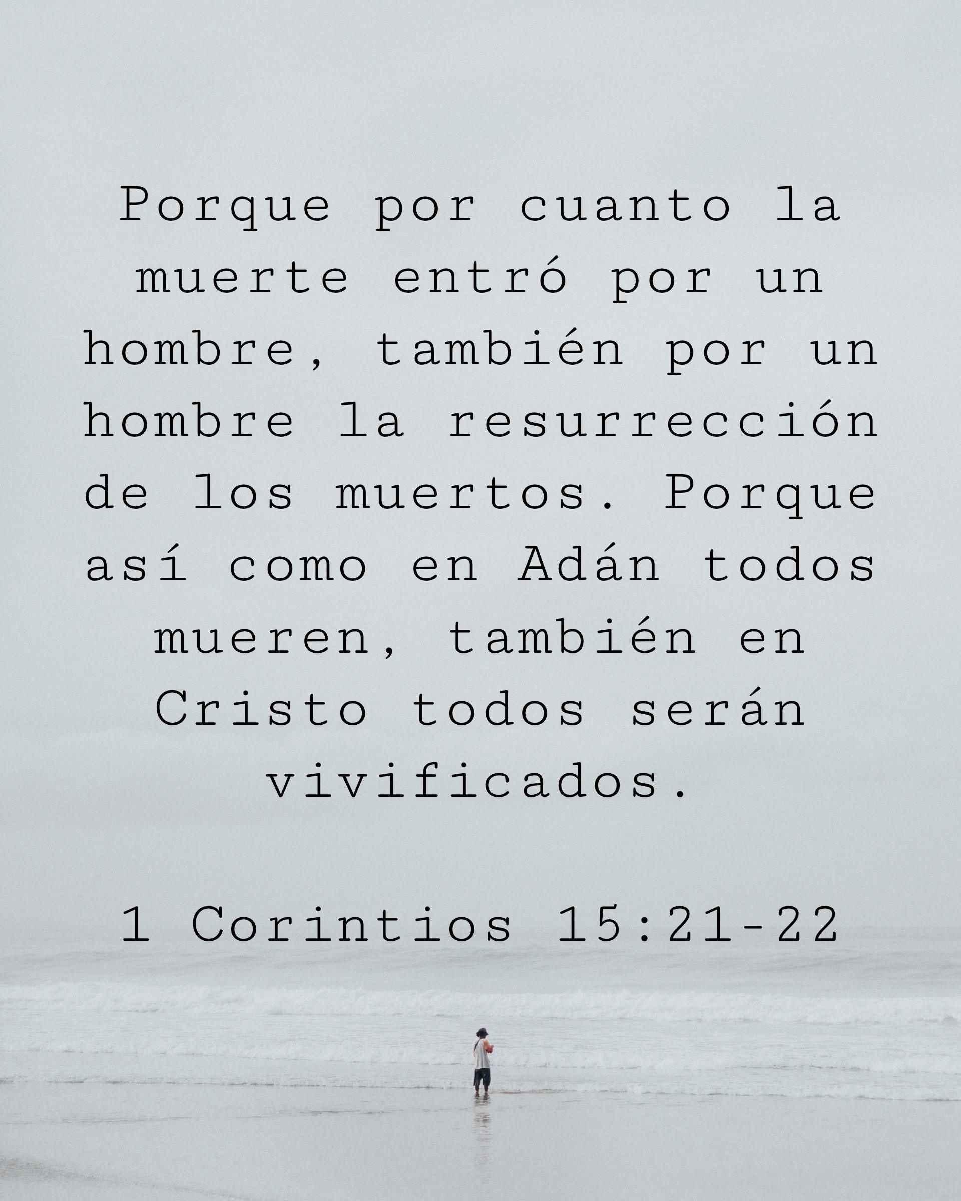 Porque por cuanto la muerte entró por un hombre, también por un hombre la resurrección de los muertos. Porque así como en Adán todos mueren, también en Cristo todos serán vivificados.