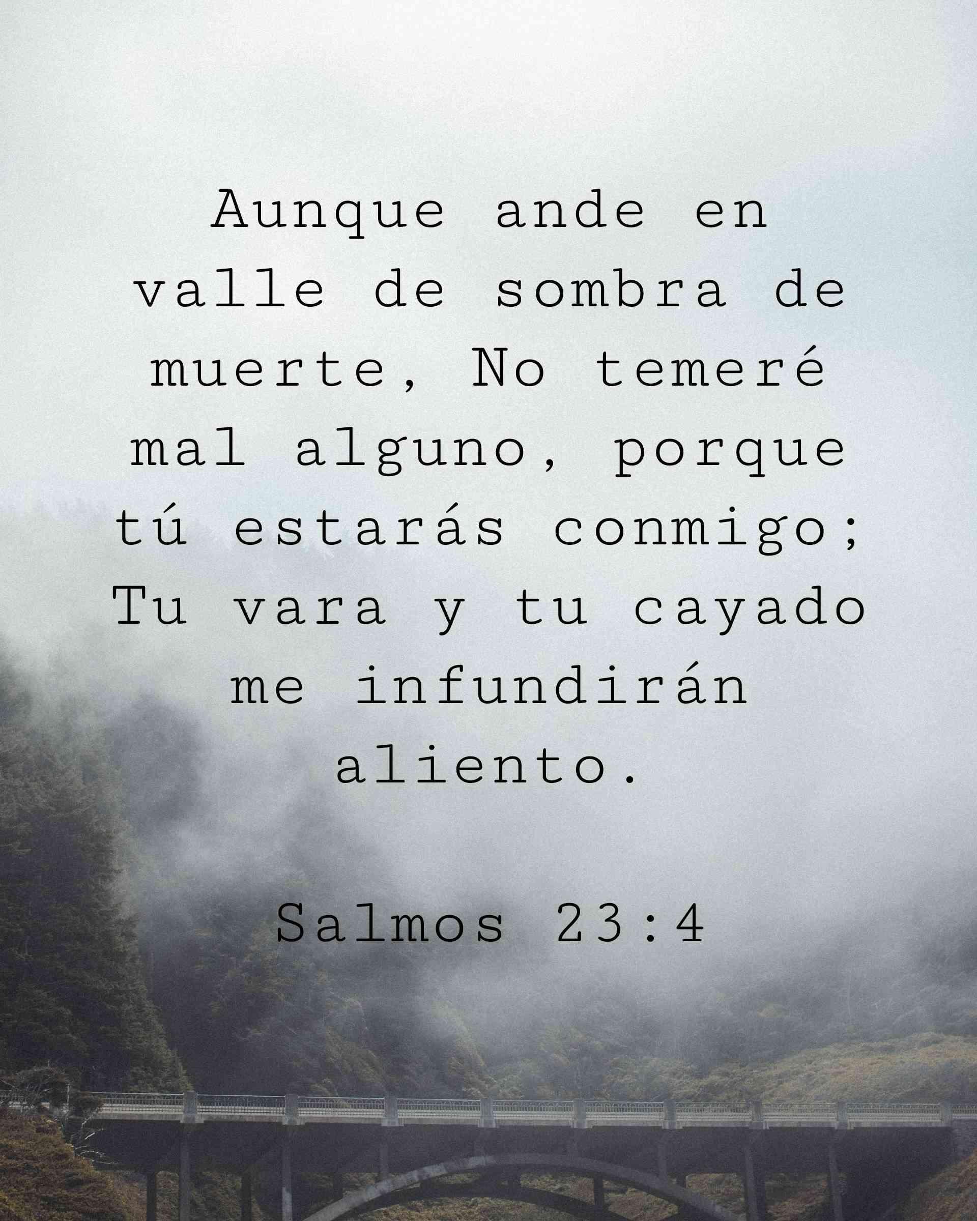 Aunque ande en valle de sombra de muerte, No temeré mal alguno, porque tú estarás conmigo; Tu vara y tu cayado me infundirán aliento.