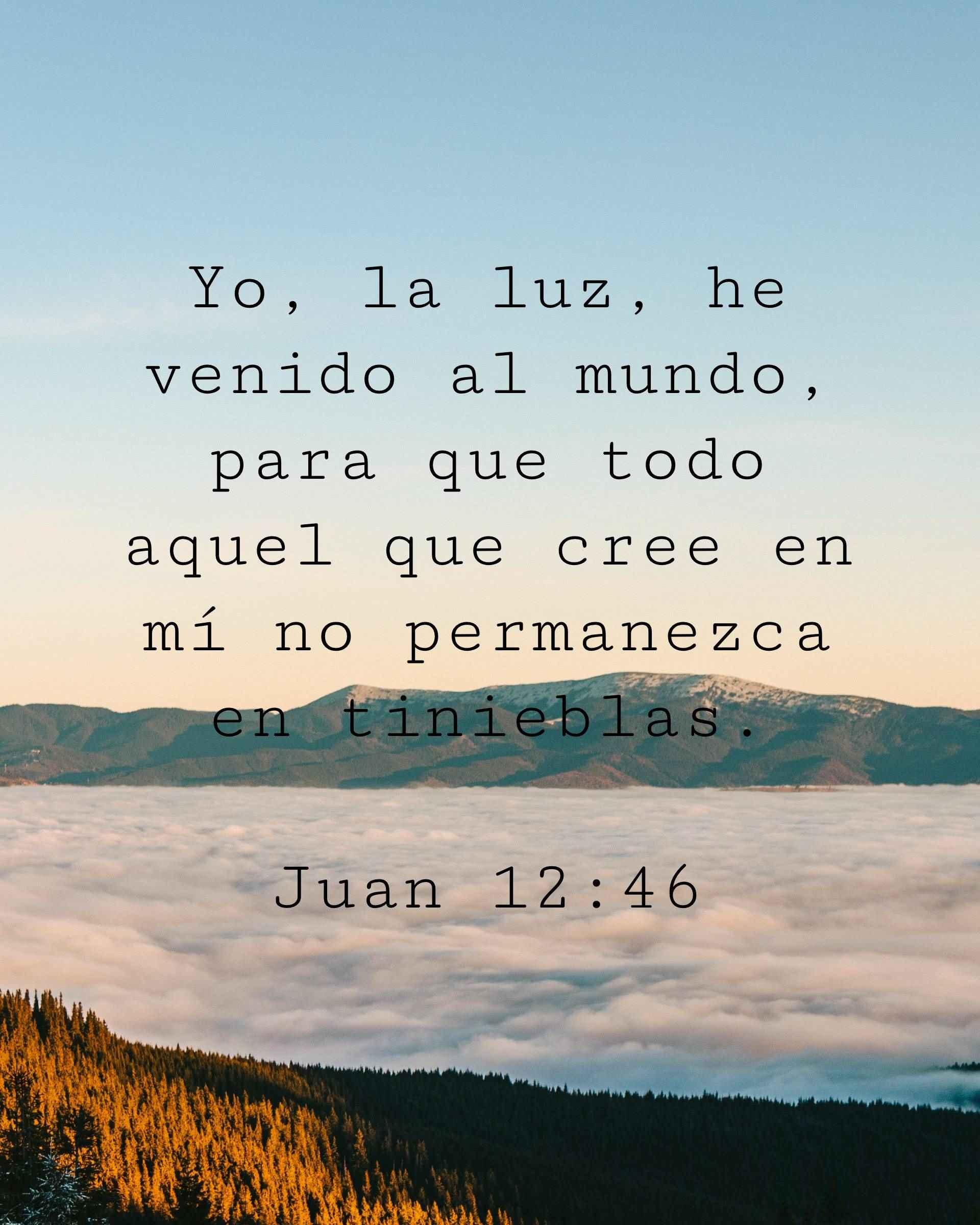 Yo, la luz, he venido al mundo, para que todo aquel que cree en mí no permanezca en tinieblas.