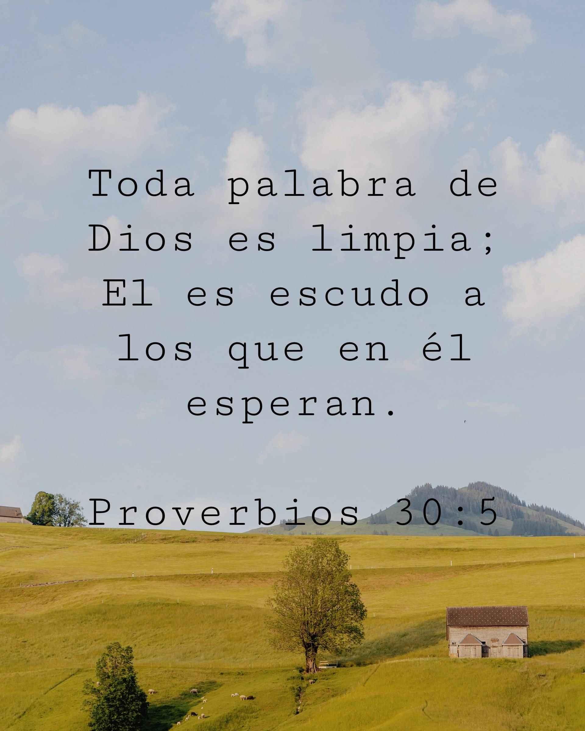 Toda palabra de Dios es limpia; El es escudo a los que en él esperan.