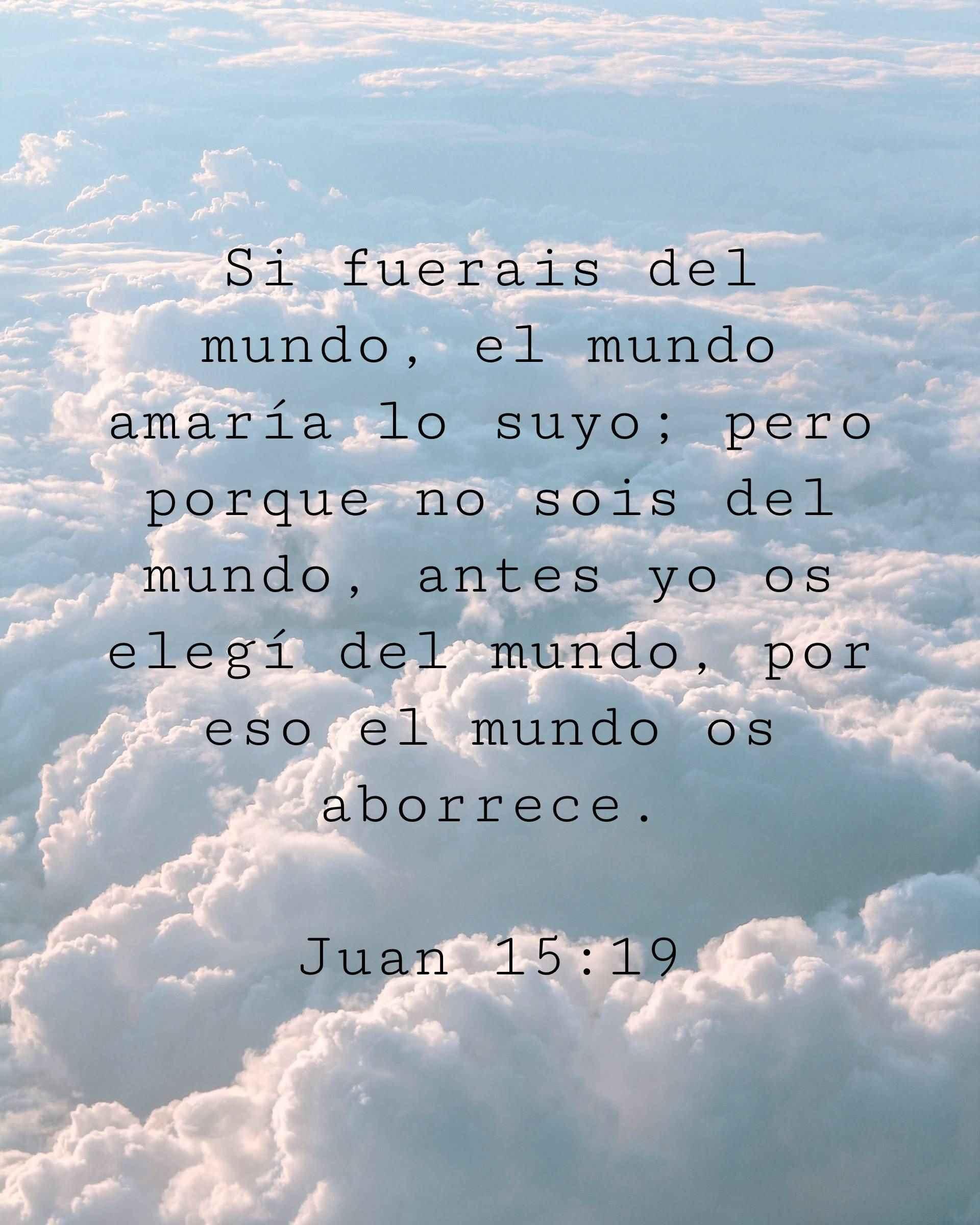Si fuerais del mundo, el mundo amaría lo suyo; pero porque no sois del mundo, antes yo os elegí del mundo, por eso el mundo os aborrece.