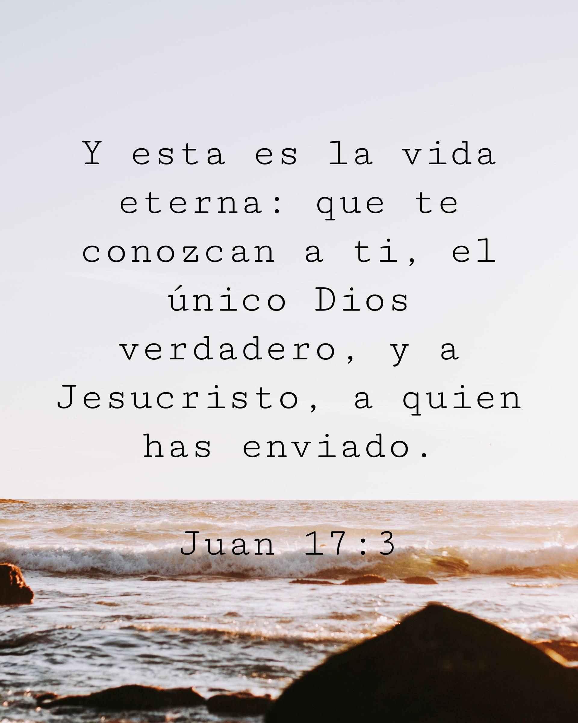 Y esta es la vida eterna: que te conozcan a ti, el único Dios verdadero, y a Jesucristo, a quien has enviado.
