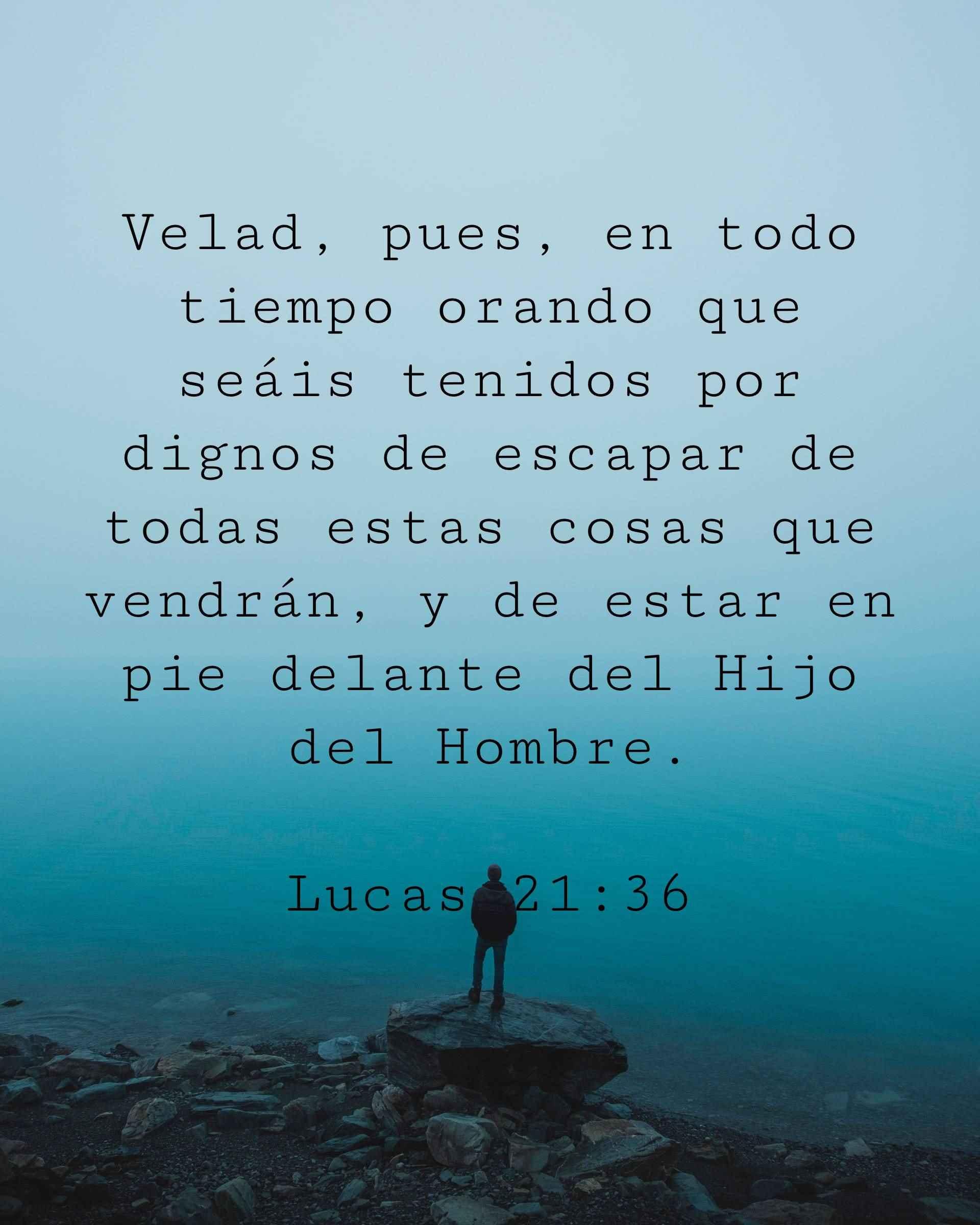 Velad, pues, en todo tiempo orando que seáis tenidos por dignos de escapar de todas estas cosas que vendrán, y de estar en pie delante del Hijo del Hombre.