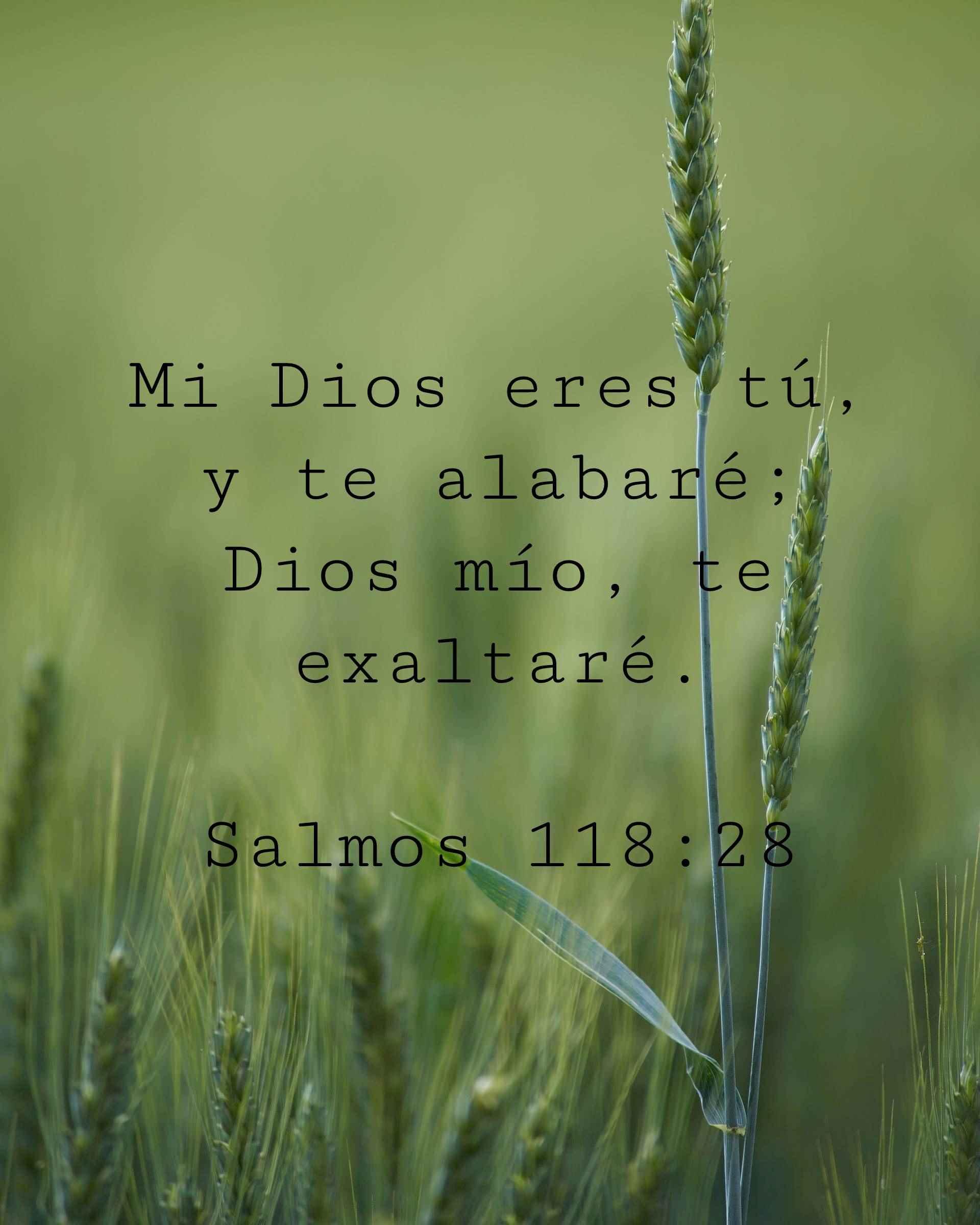Mi Dios eres tú, y te alabaré; Dios mío, te exaltaré.