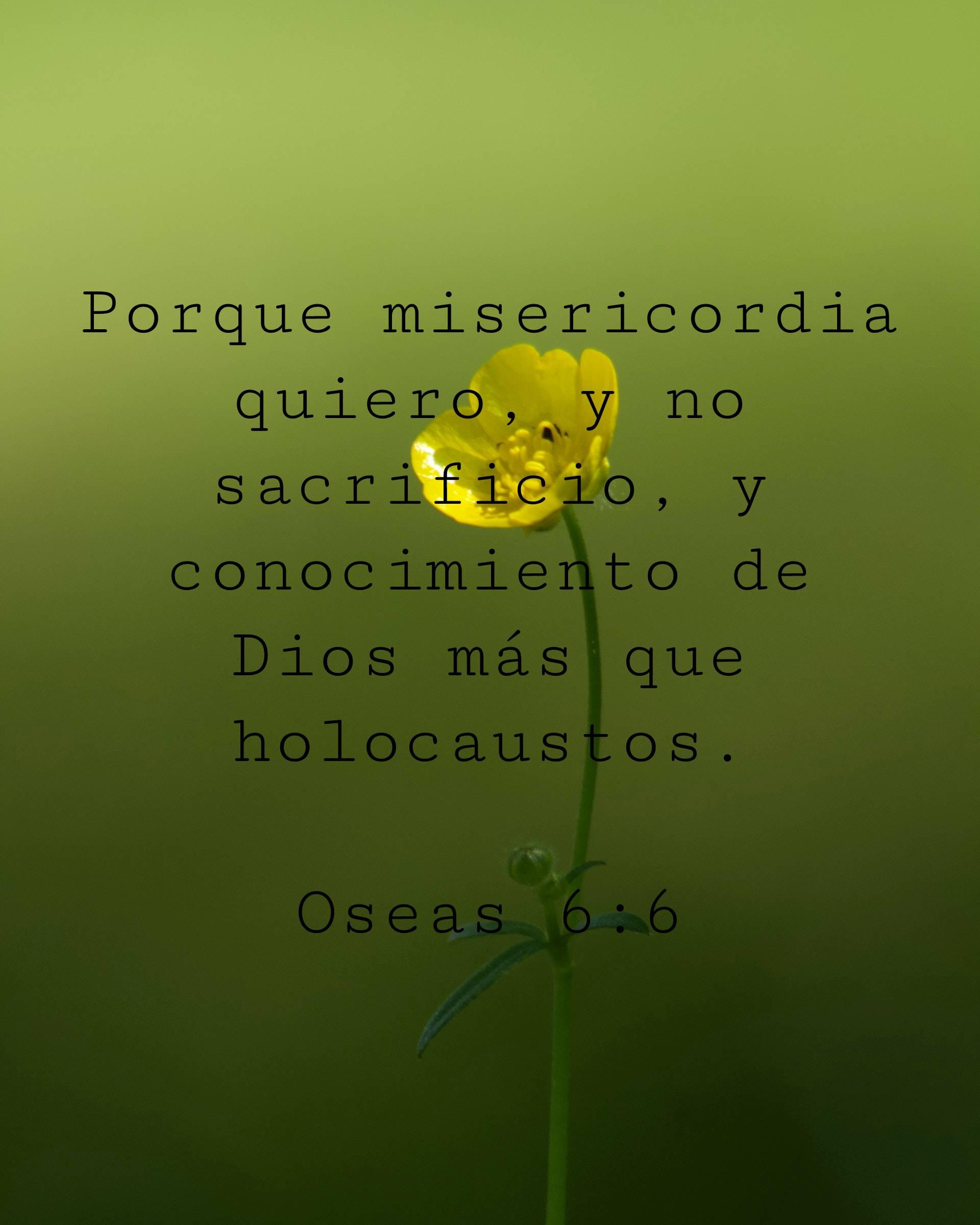 Porque misericordia quiero, y no sacrificio, y conocimiento de Dios más que holocaustos.