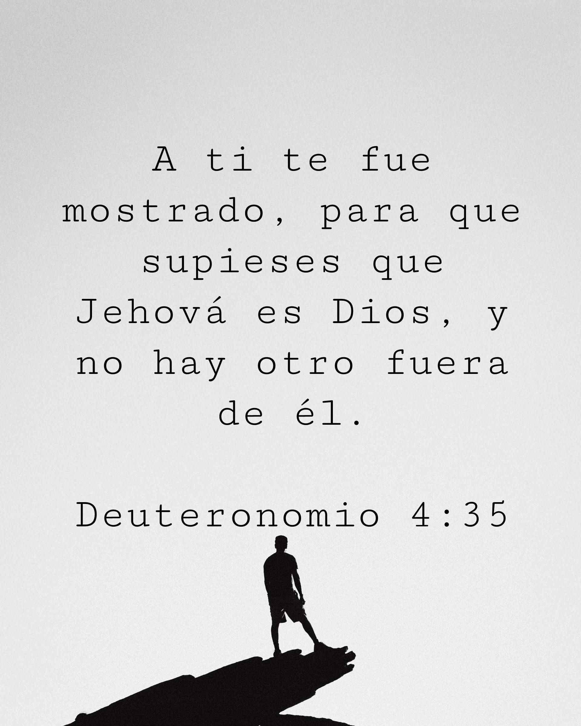 A ti te fue mostrado, para que supieses que Jehová es Dios, y no hay otro fuera de él.