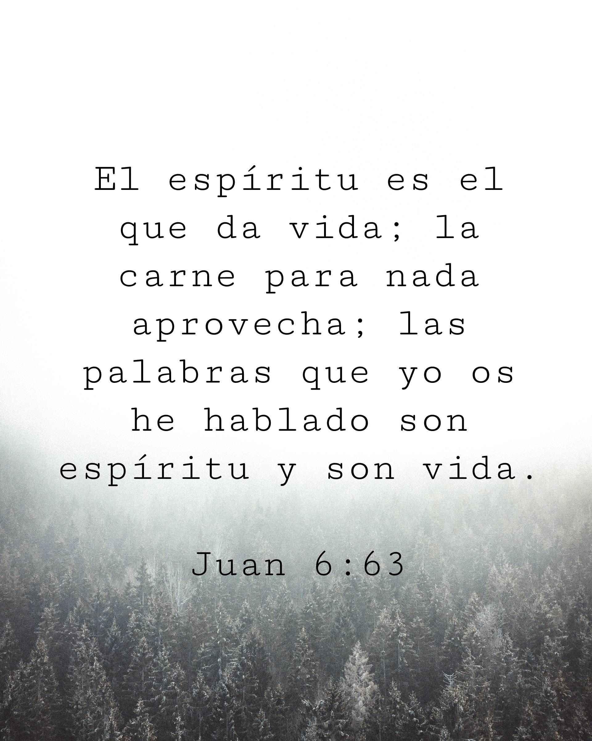 El espíritu es el que da vida; la carne para nada aprovecha; las palabras que yo os he hablado son espíritu y son vida.