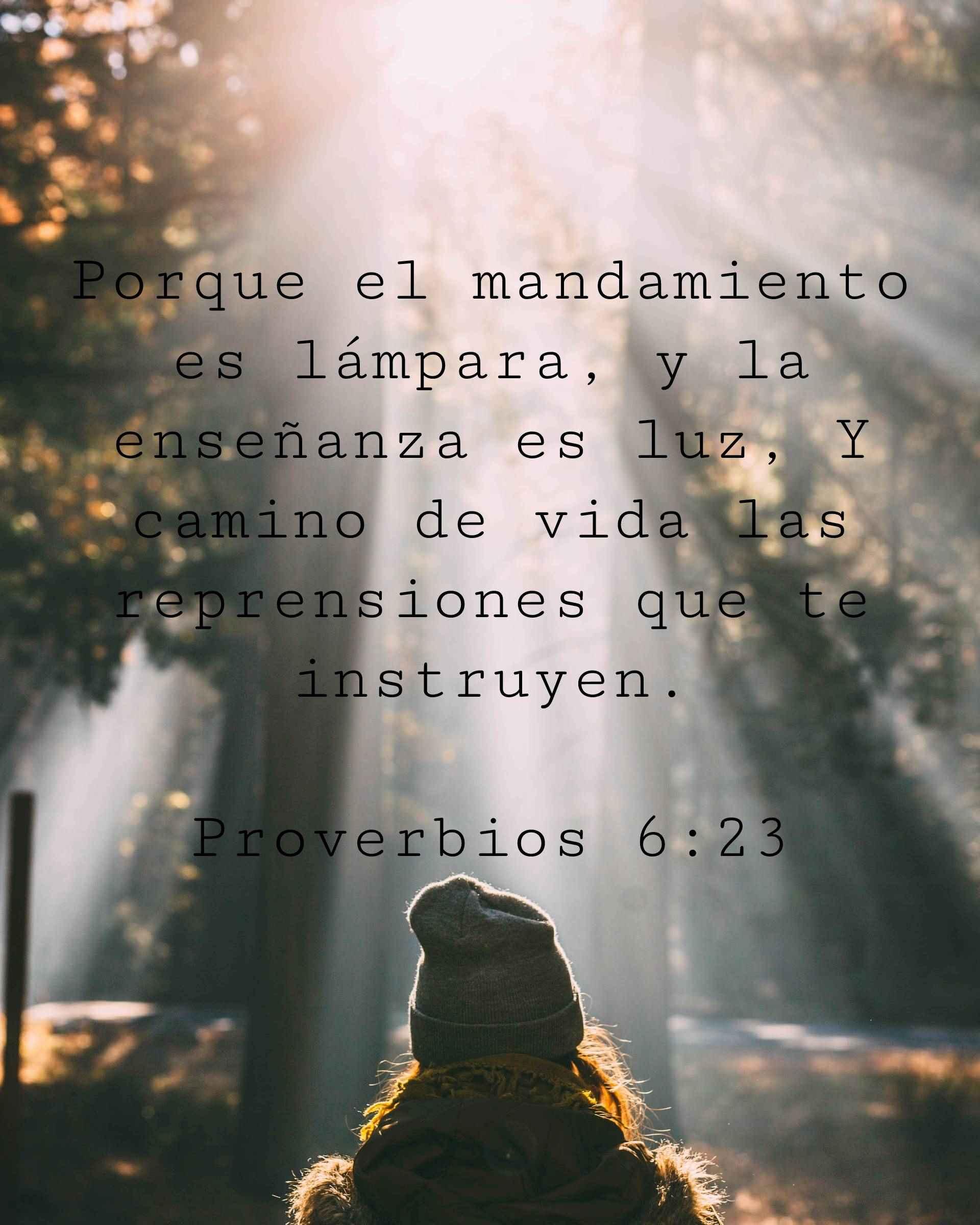 Porque el mandamiento es lámpara, y la enseñanza es luz, Y camino de vida las reprensiones que te instruyen.