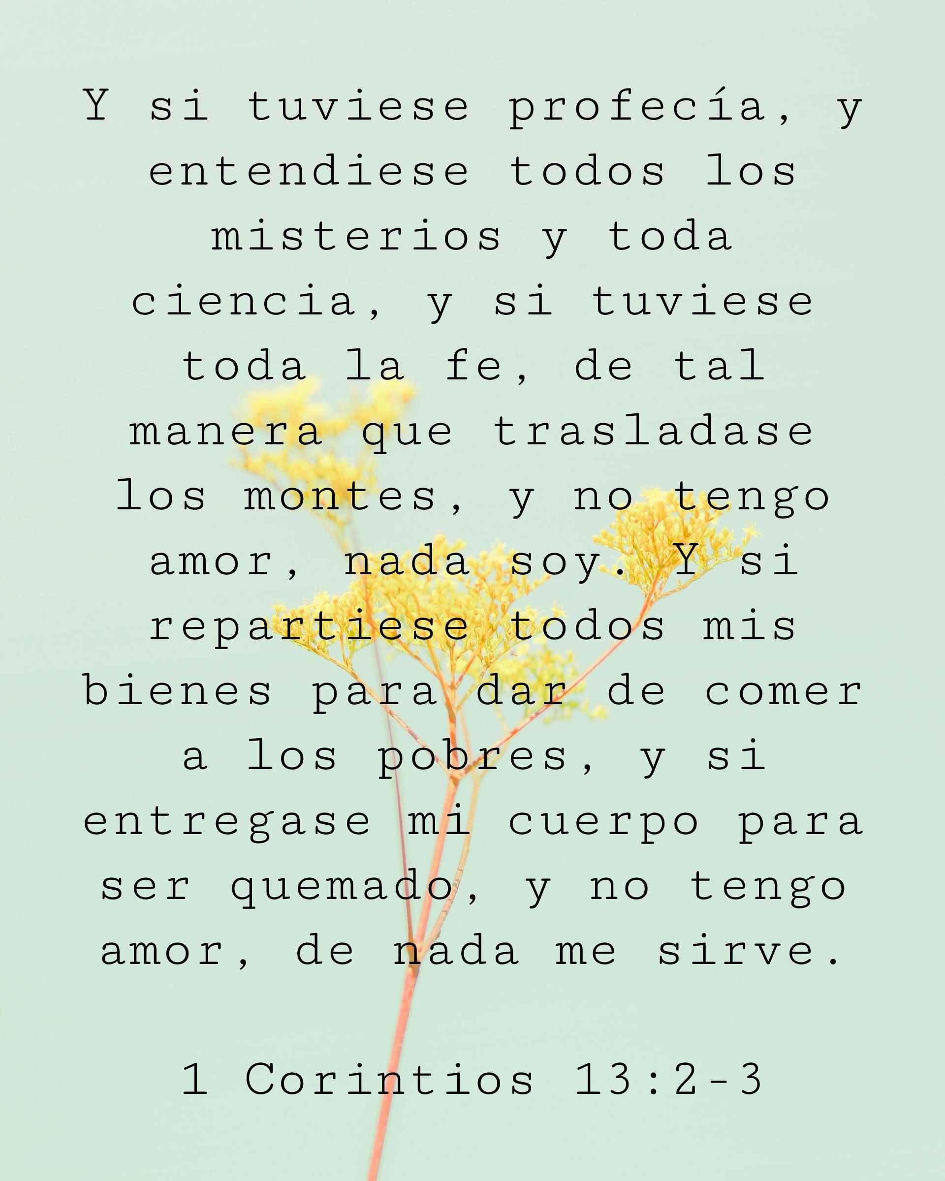 Y si tuviese profecía, y entendiese todos los misterios y toda ciencia, y si tuviese toda la fe, de tal manera que trasladase los montes, y no tengo amor, nada soy.
Y si repartiese todos mis bienes para dar de comer a los pobres, y si entregase mi cuerpo para ser quemado, y no tengo amor, de nada me sirve.