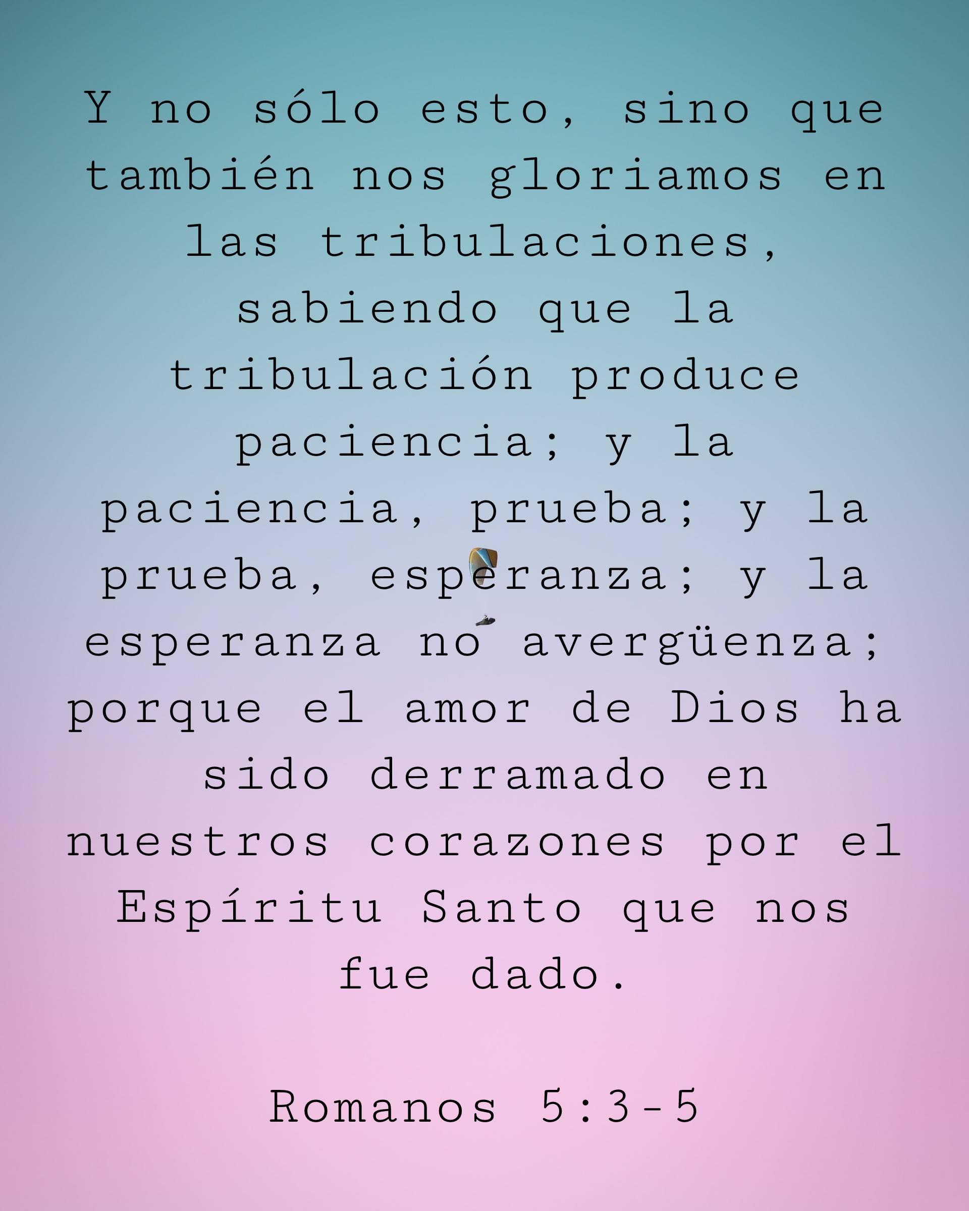 Y no sólo esto, sino que también nos gloriamos en las tribulaciones, sabiendo que la tribulación produce paciencia; y la paciencia, prueba; y la prueba, esperanza; y la esperanza no avergüenza; porque el amor de Dios ha sido derramado en nuestros corazones por el Espíritu Santo que nos fue dado.
