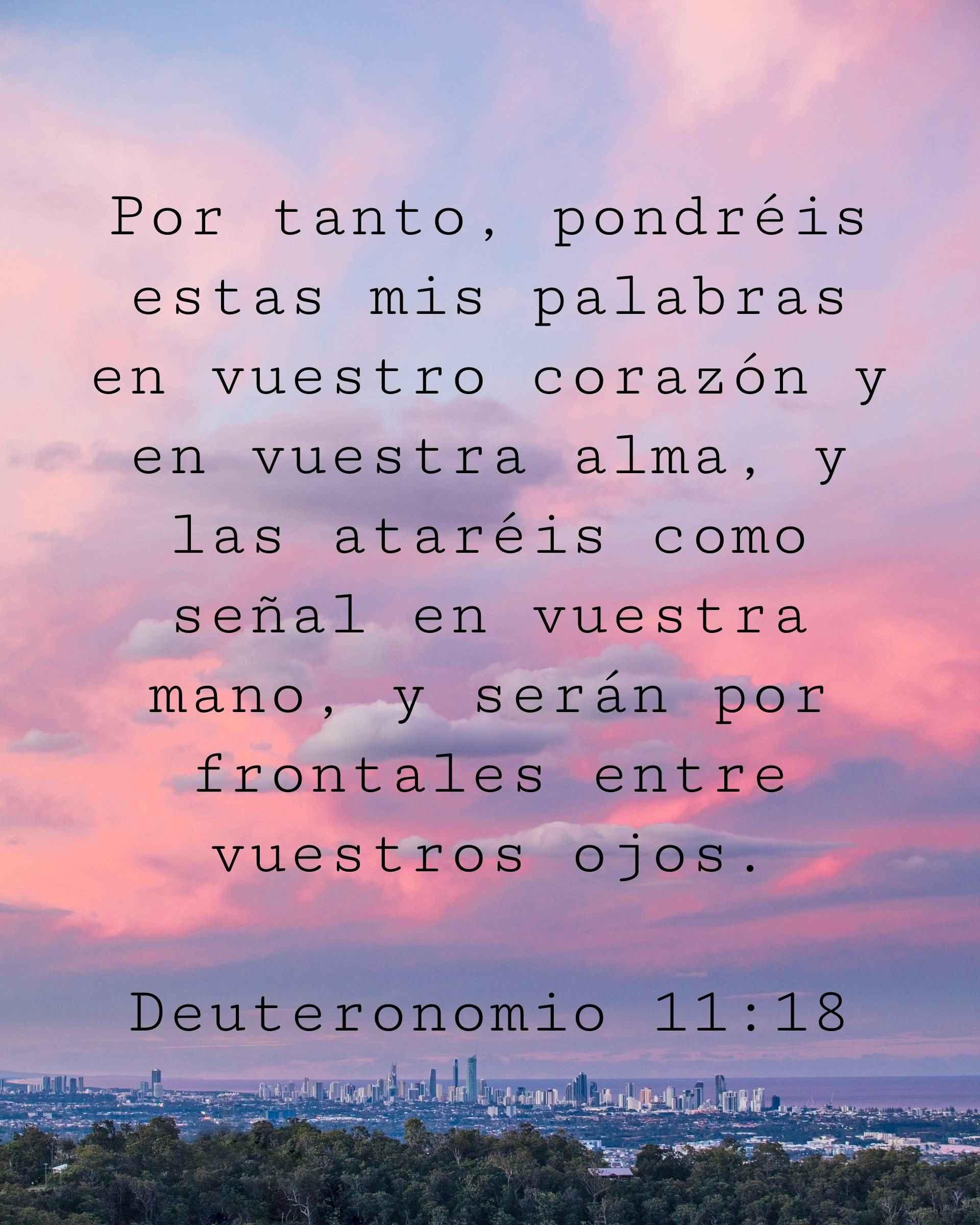 Por tanto, pondréis estas mis palabras en vuestro corazón y en vuestra alma, y las ataréis como señal en vuestra mano, y serán por frontales entre vuestros ojos.