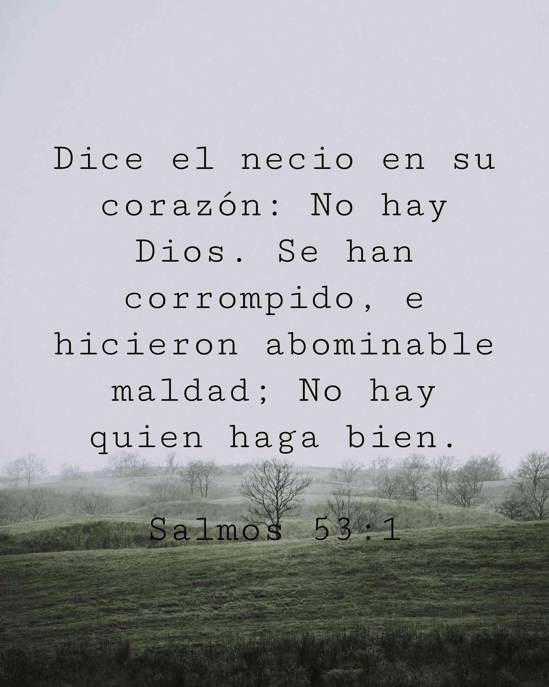 Dice el necio en su corazón: No hay Dios. Se han corrompido, e hicieron abominable maldad; No hay quien haga bien.