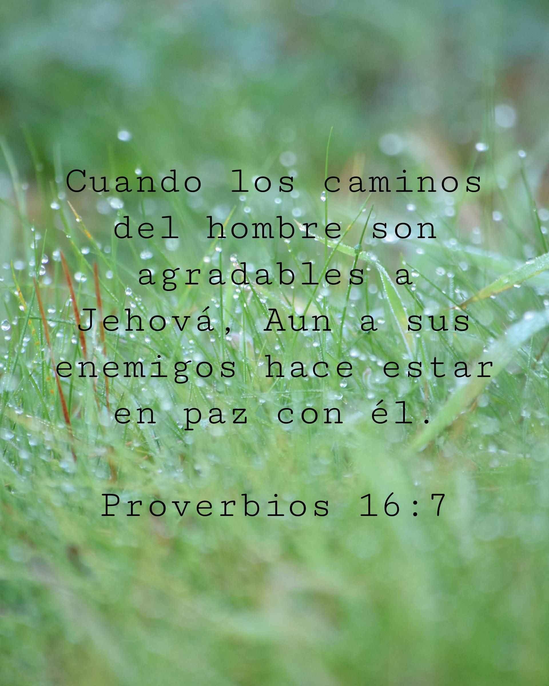 Cuando los caminos del hombre son agradables a Jehová, Aun a sus enemigos hace estar en paz con él.