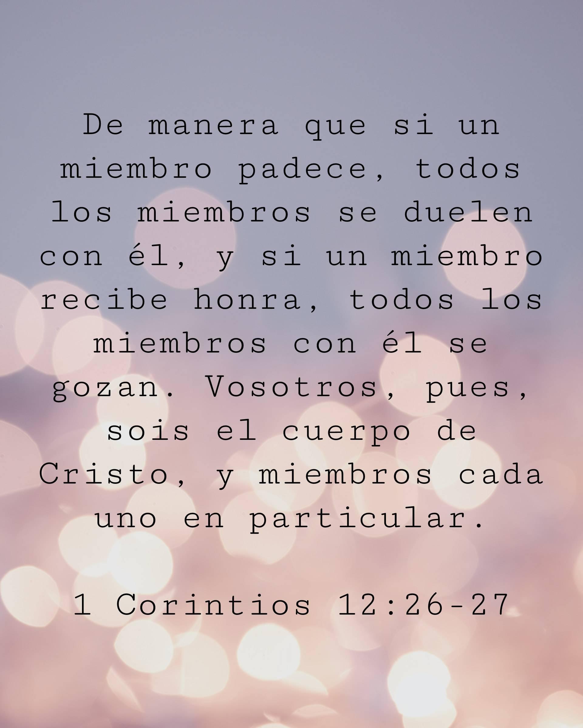 De manera que si un miembro padece, todos los miembros se duelen con él, y si un miembro recibe honra, todos los miembros con él se gozan. Vosotros, pues, sois el cuerpo de Cristo, y miembros cada uno en particular.