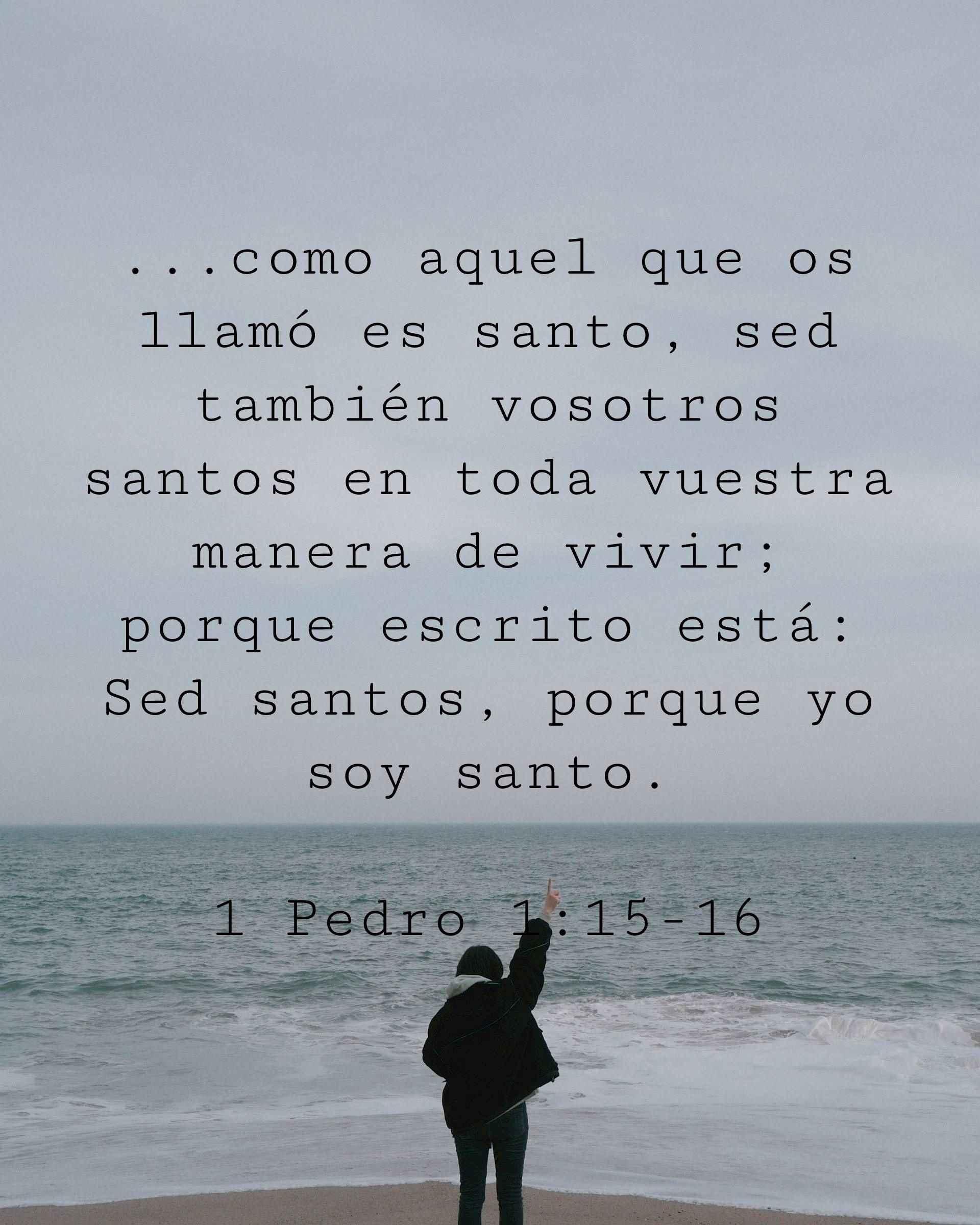 ...como aquel que os llamó es santo, sed también vosotros santos en toda vuestra manera de vivir; porque escrito está: Sed santos, porque yo soy santo.