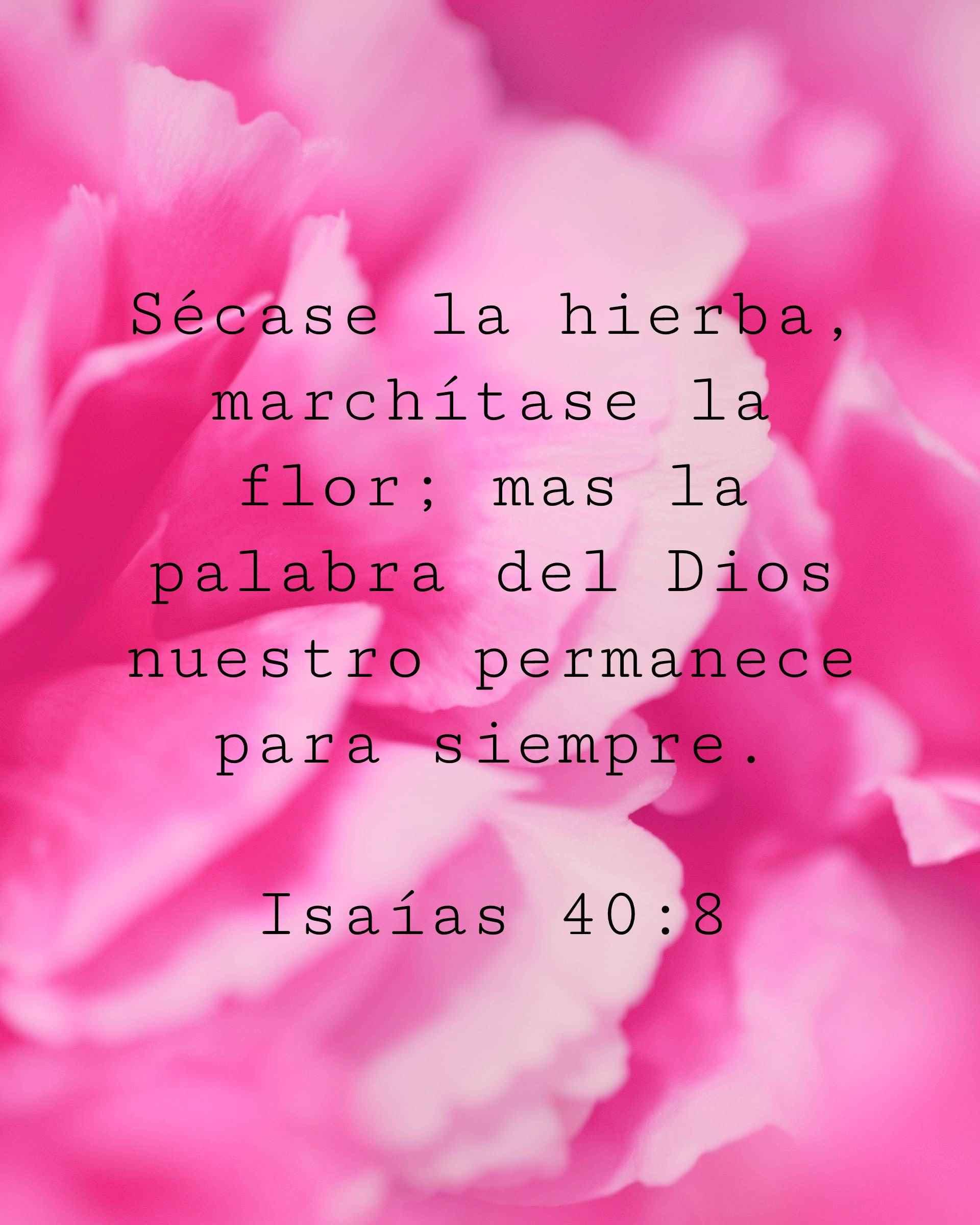 Sécase la hierba, marchítase la flor; mas la palabra del Dios nuestro permanece para siempre.