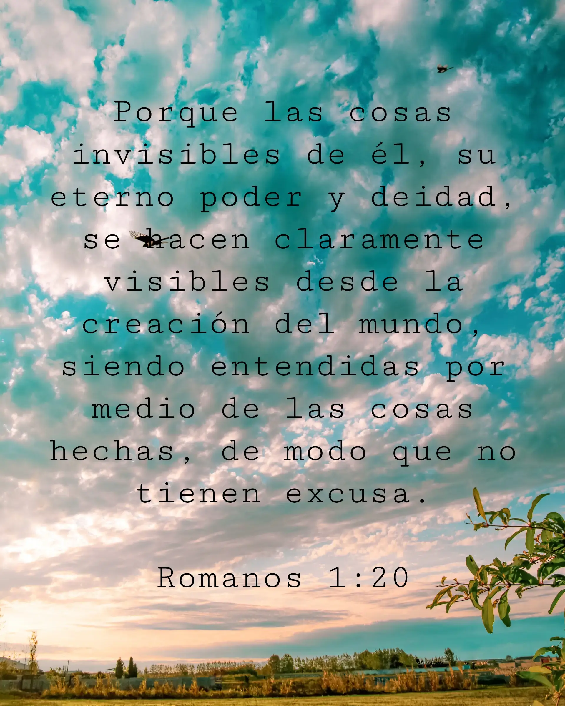 Porque las cosas invisibles de él, su eterno poder y deidad, se hacen claramente visibles desde la creación del mundo, siendo entendidas por medio de las cosas hechas, de modo que no tienen excusa.