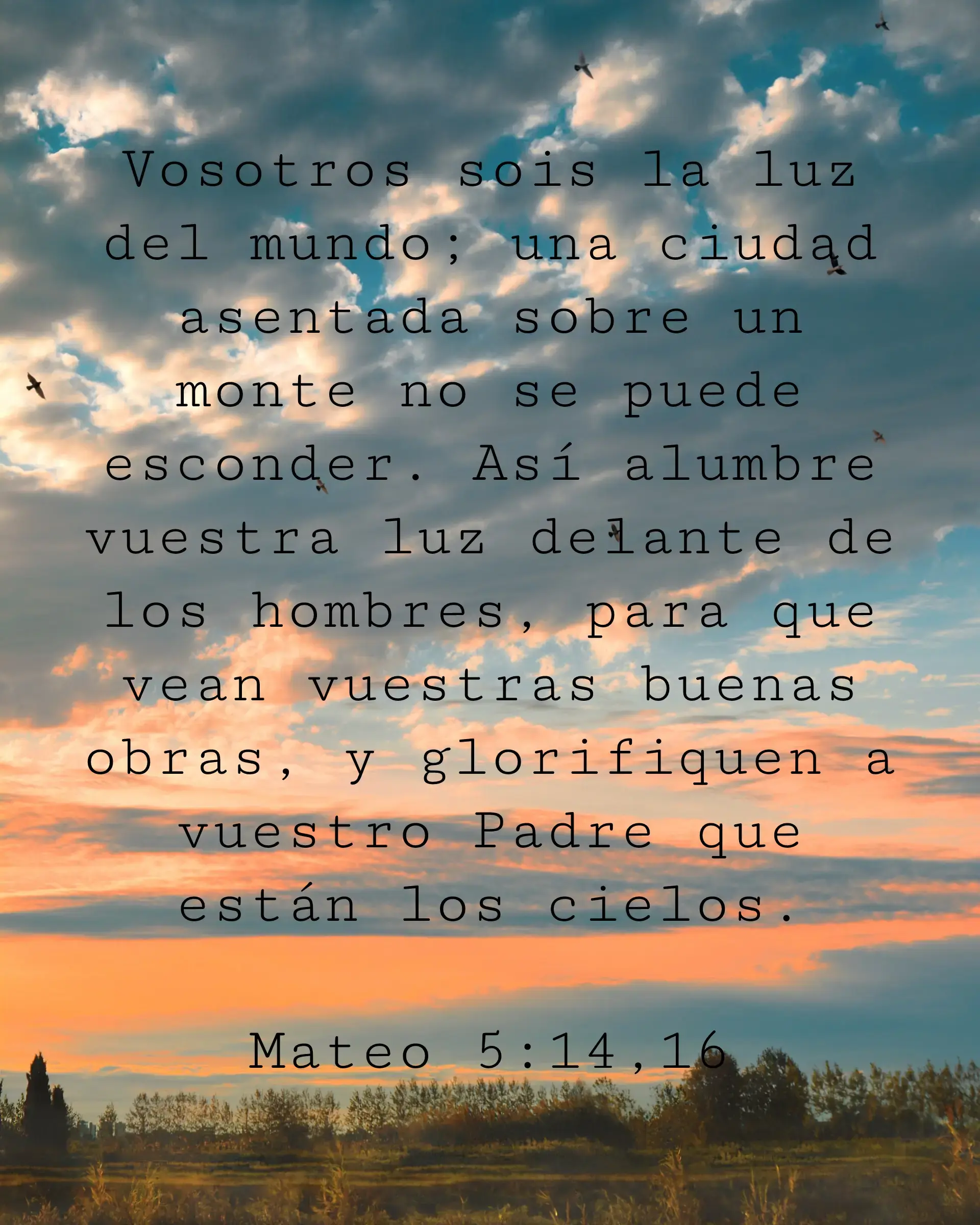 Vosotros sois la luz del mundo; una ciudad asentada sobre un monte no se puede esconder. Así alumbre vuestra luz delante de los hombres, para que vean vuestras buenas obras, y glorifiquen a vuestro Padre que están los cielos.
