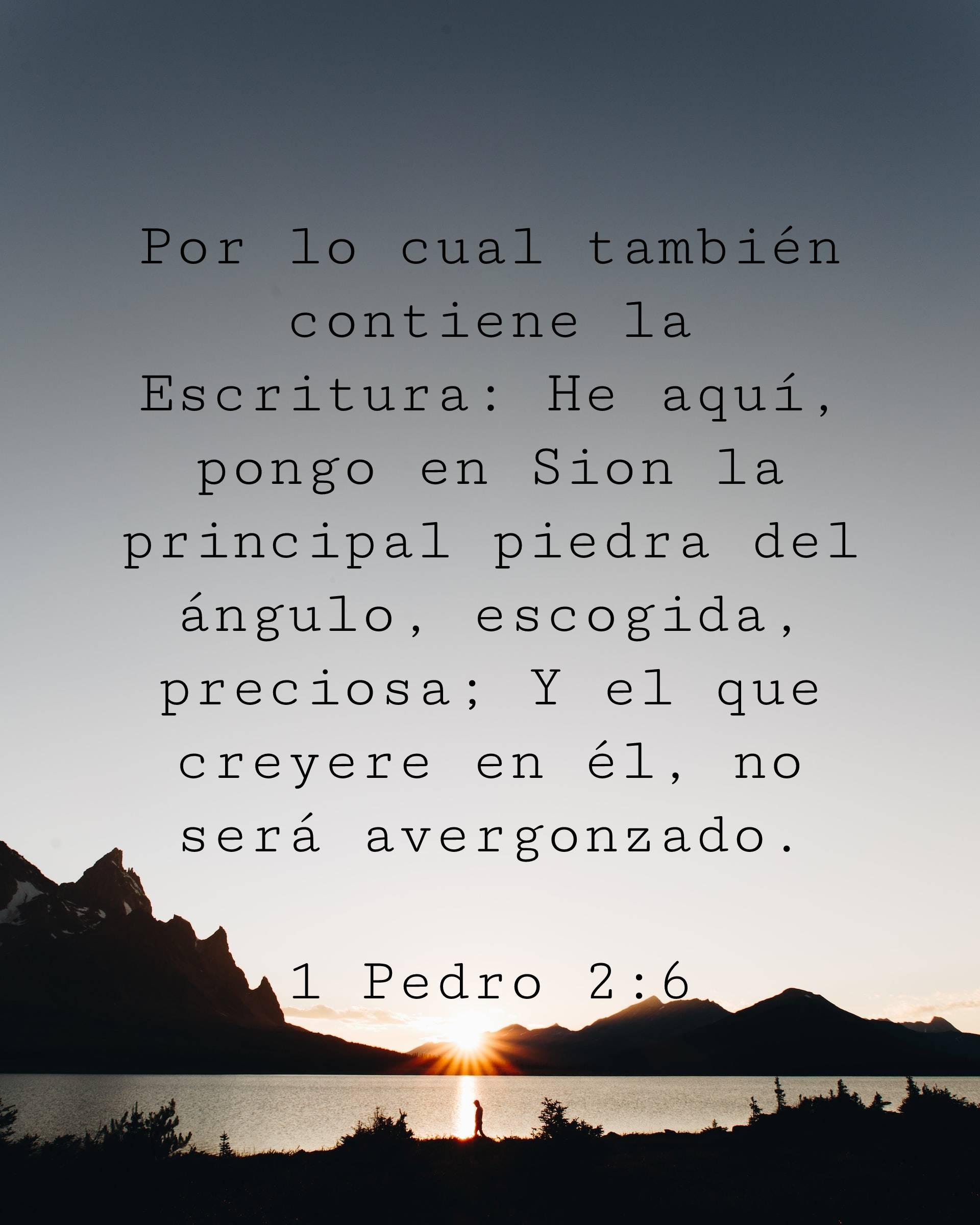 Por lo cual también contiene la Escritura: He aquí, pongo en Sion la principal piedra del ángulo, escogida, preciosa; Y el que creyere en él, no será avergonzado.