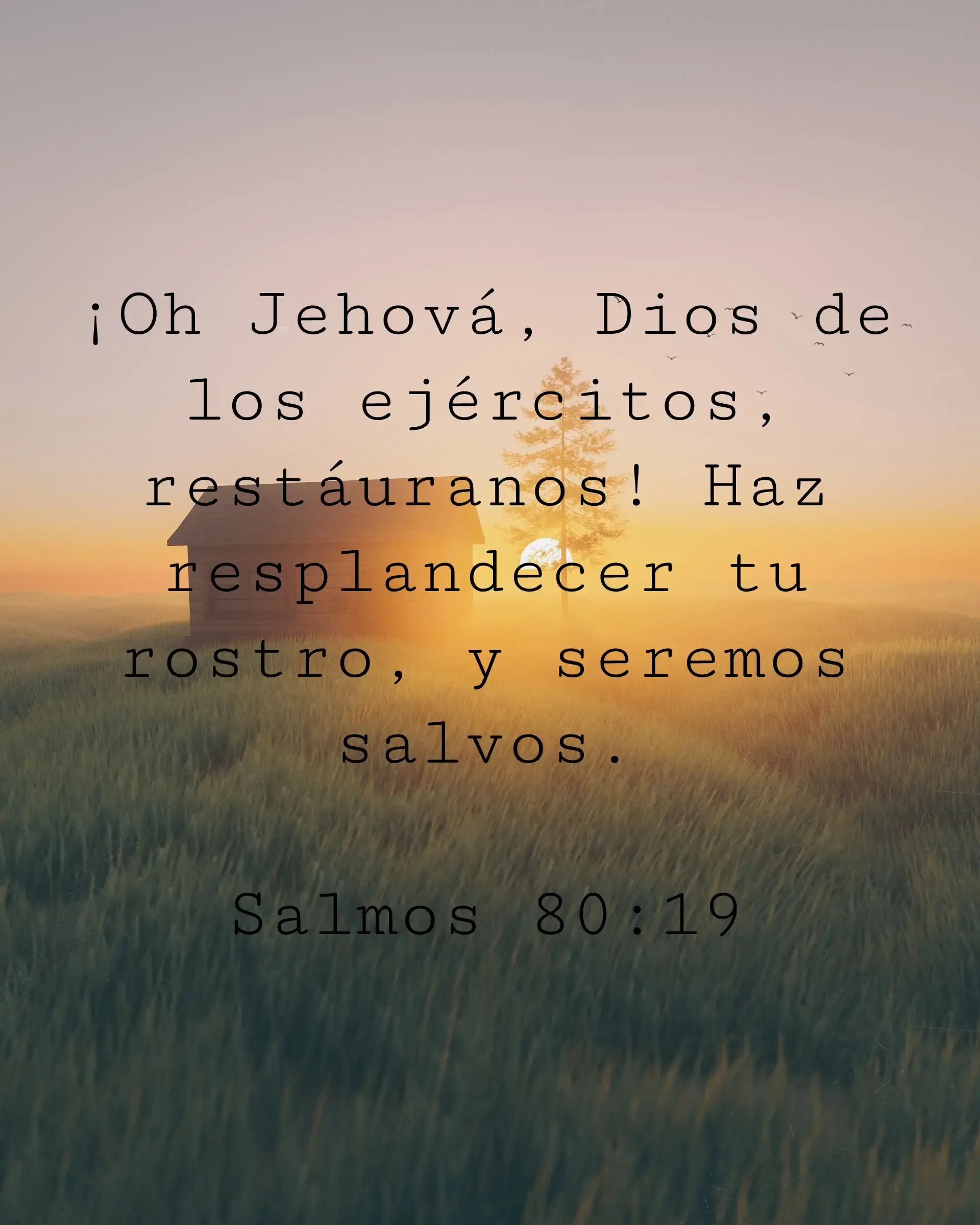 ¡Oh Jehová, Dios de los ejércitos, restáuranos! Haz resplandecer tu rostro, y seremos salvos.