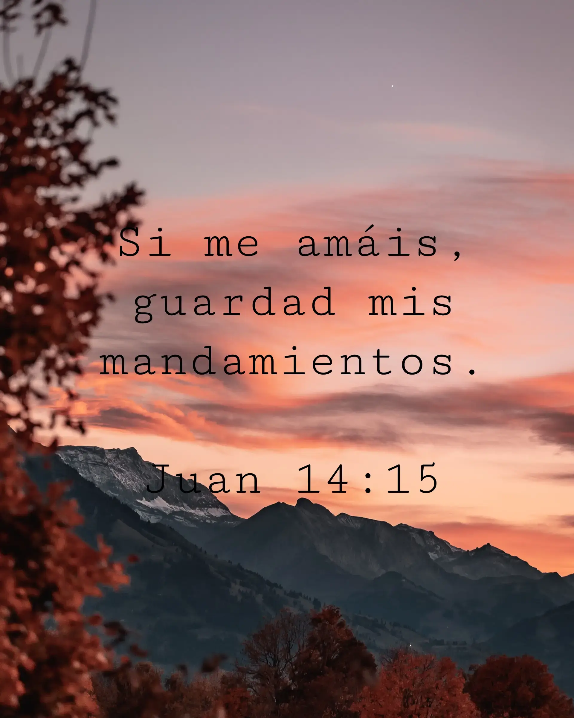 Si me amáis, guardad mis mandamientos.