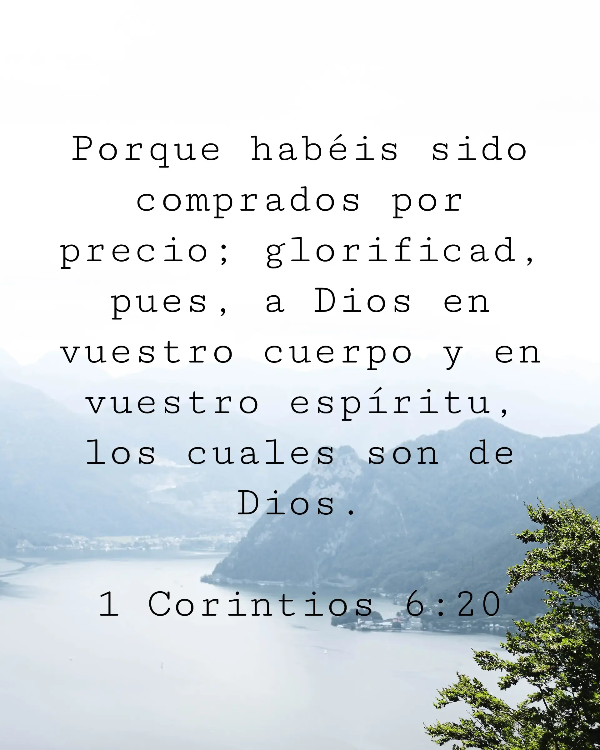 Porque habéis sido comprados por precio; glorificad, pues, a Dios en vuestro cuerpo y en vuestro espíritu, los cuales son de Dios.