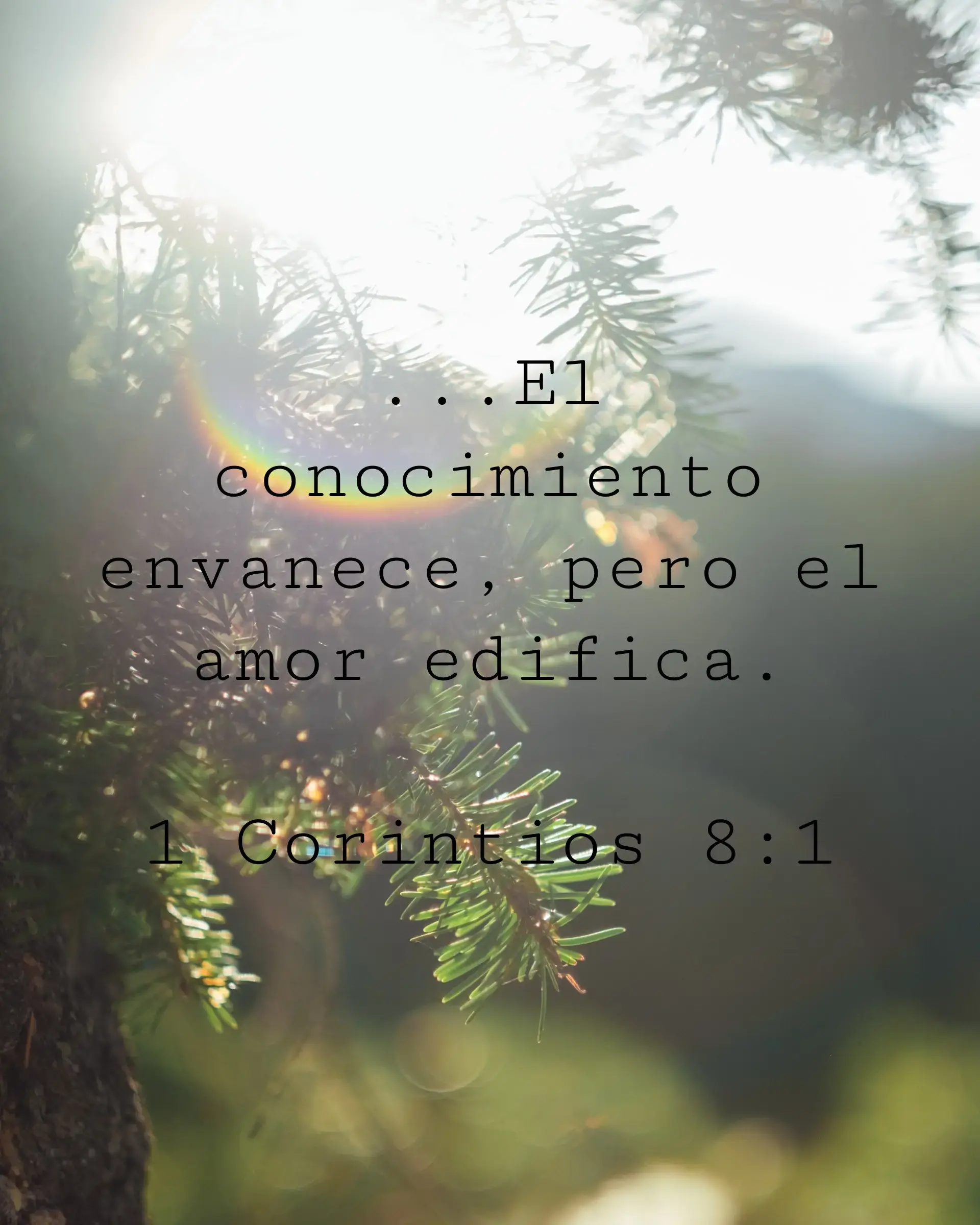 ...El conocimiento envanece, pero el amor edifica.