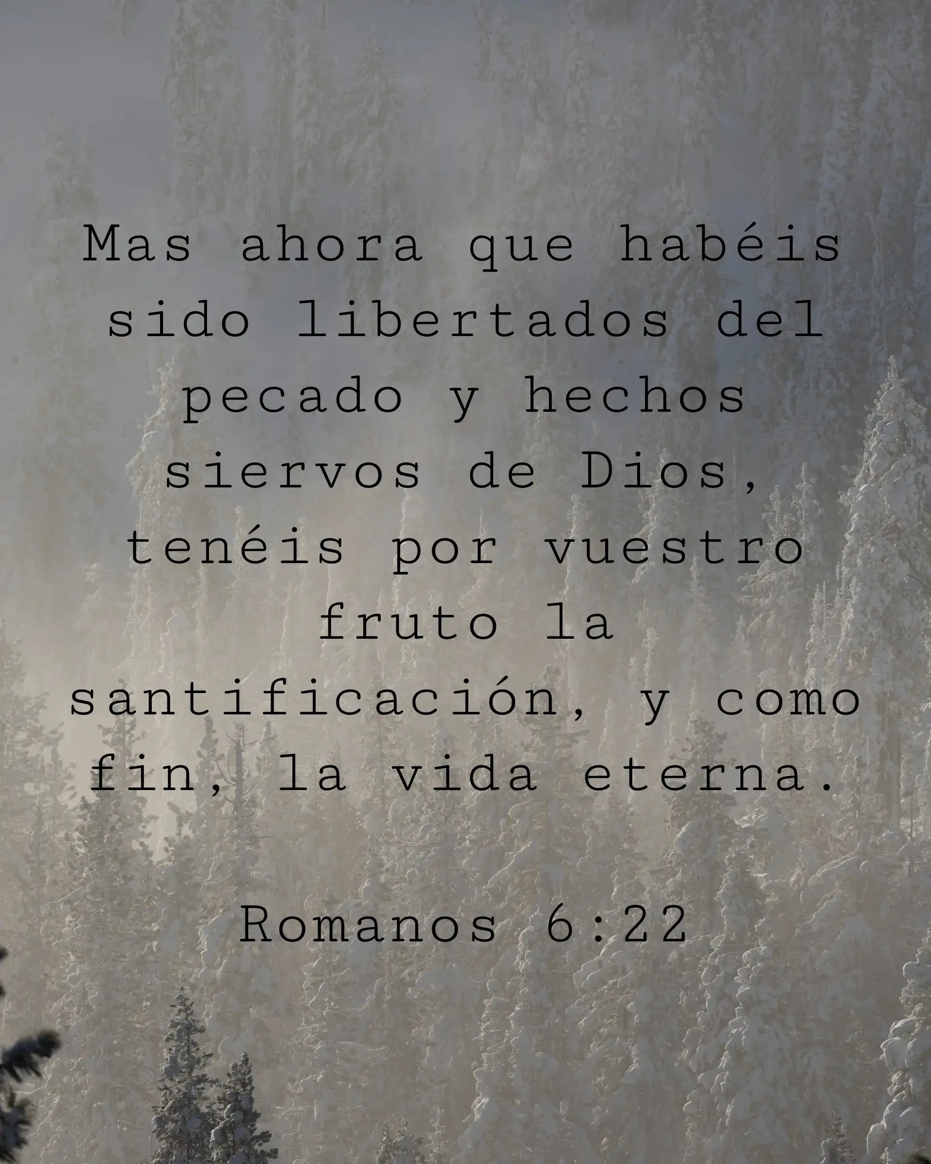 Mas ahora que habéis sido libertados del pecado y hechos siervos de Dios, tenéis por vuestro fruto la santificación, y como fin, la vida eterna.